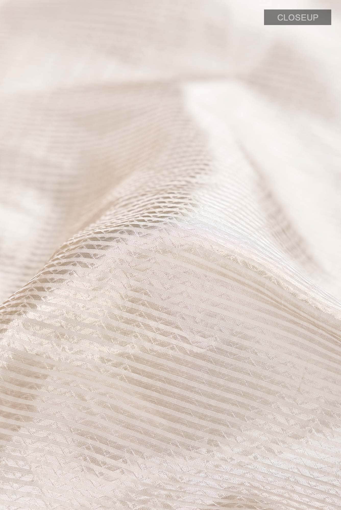 Baige with Gold Dual Tone Banarasi Brocade Tissue Silk Saree