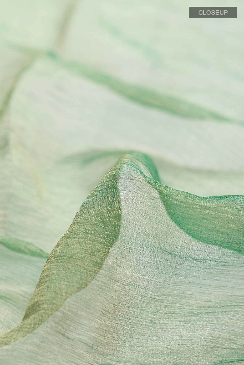 Green with Gold Dual Tone Banarasi Crushed Tissue Silk Saree