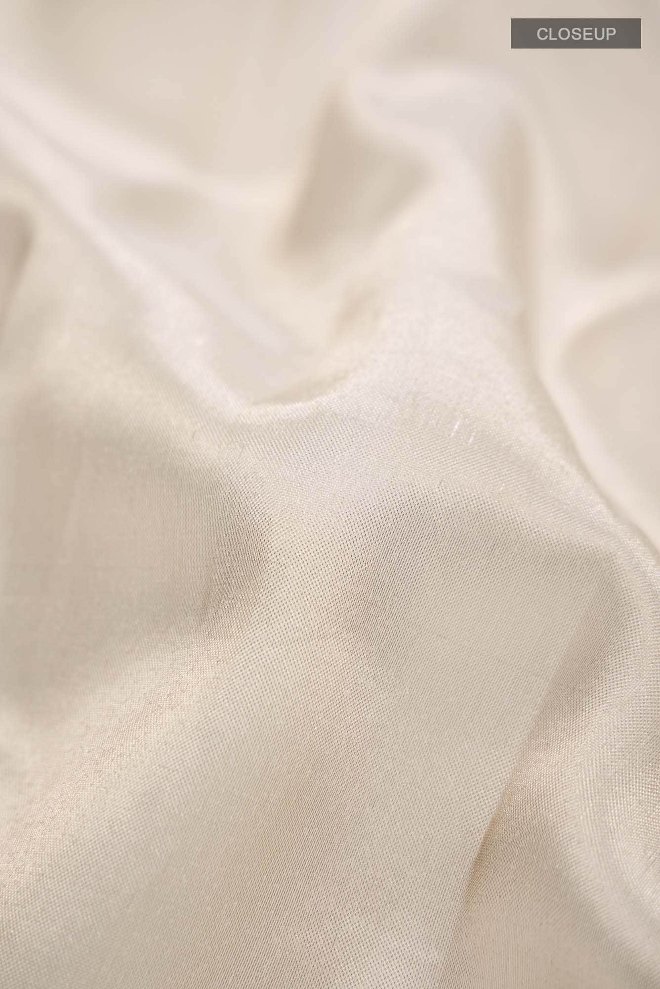 Beige Tissue Silk Saree with zari border