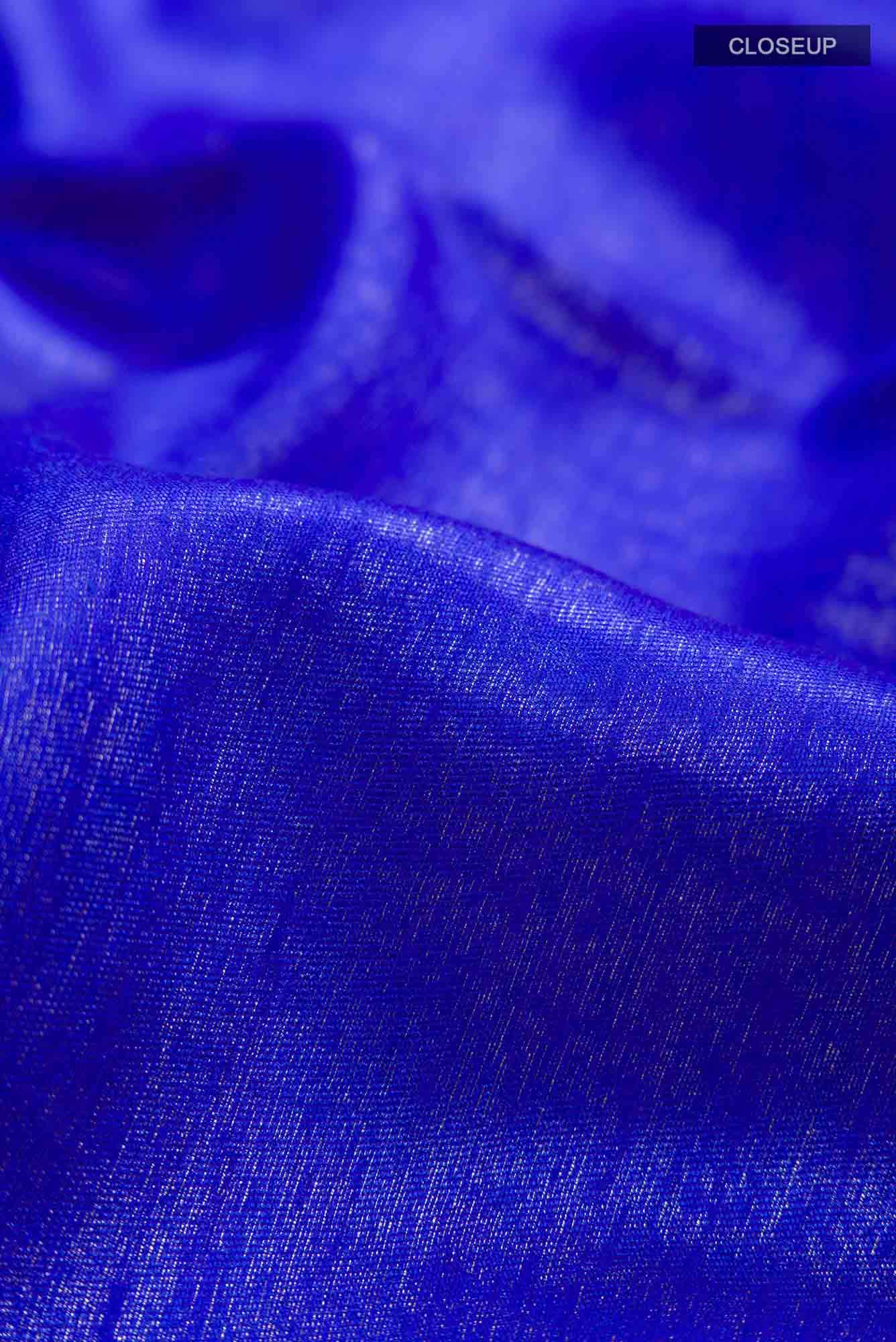 Blue Blended Tussar Silk Saree