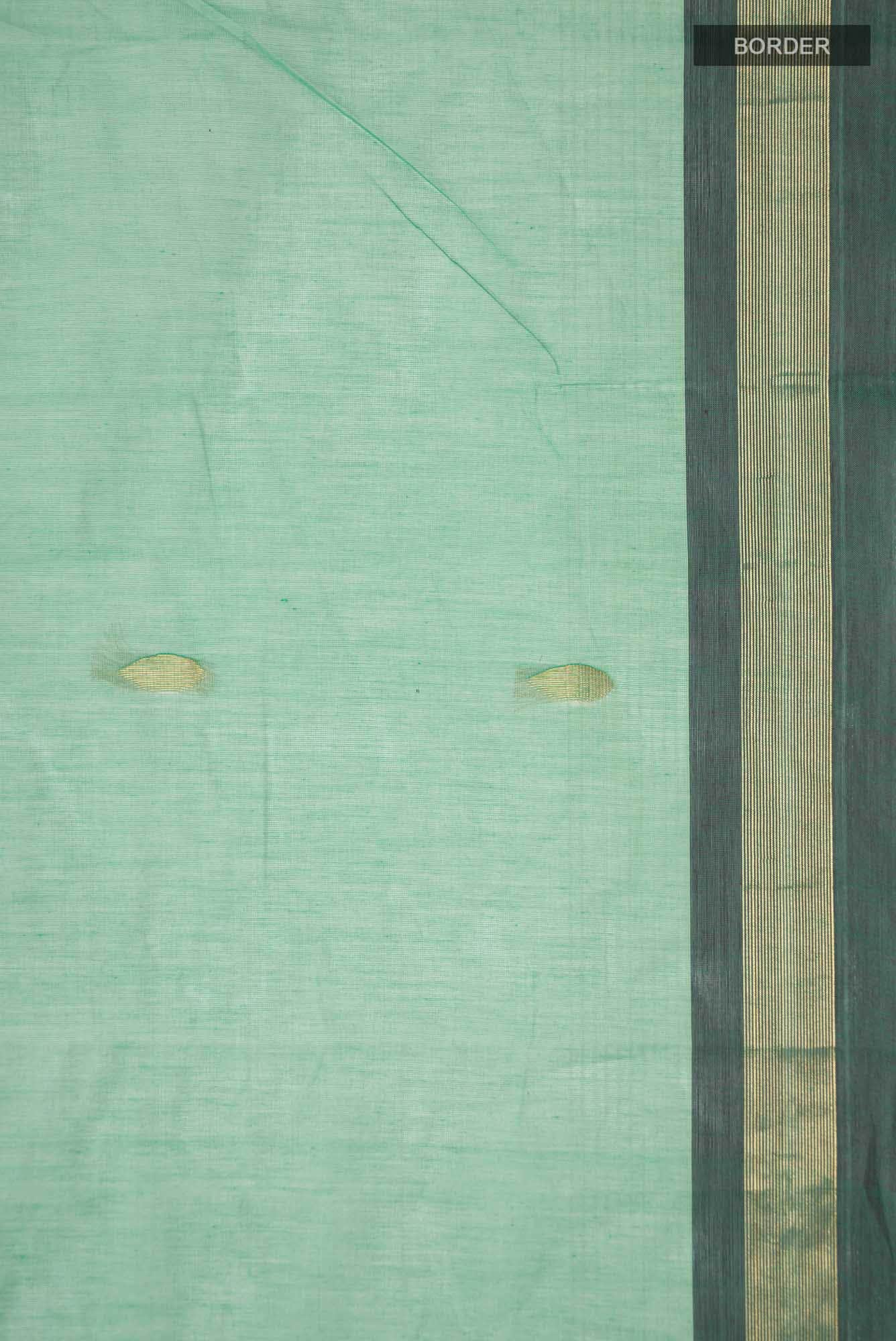 Green Kanchi Cotton Saree
