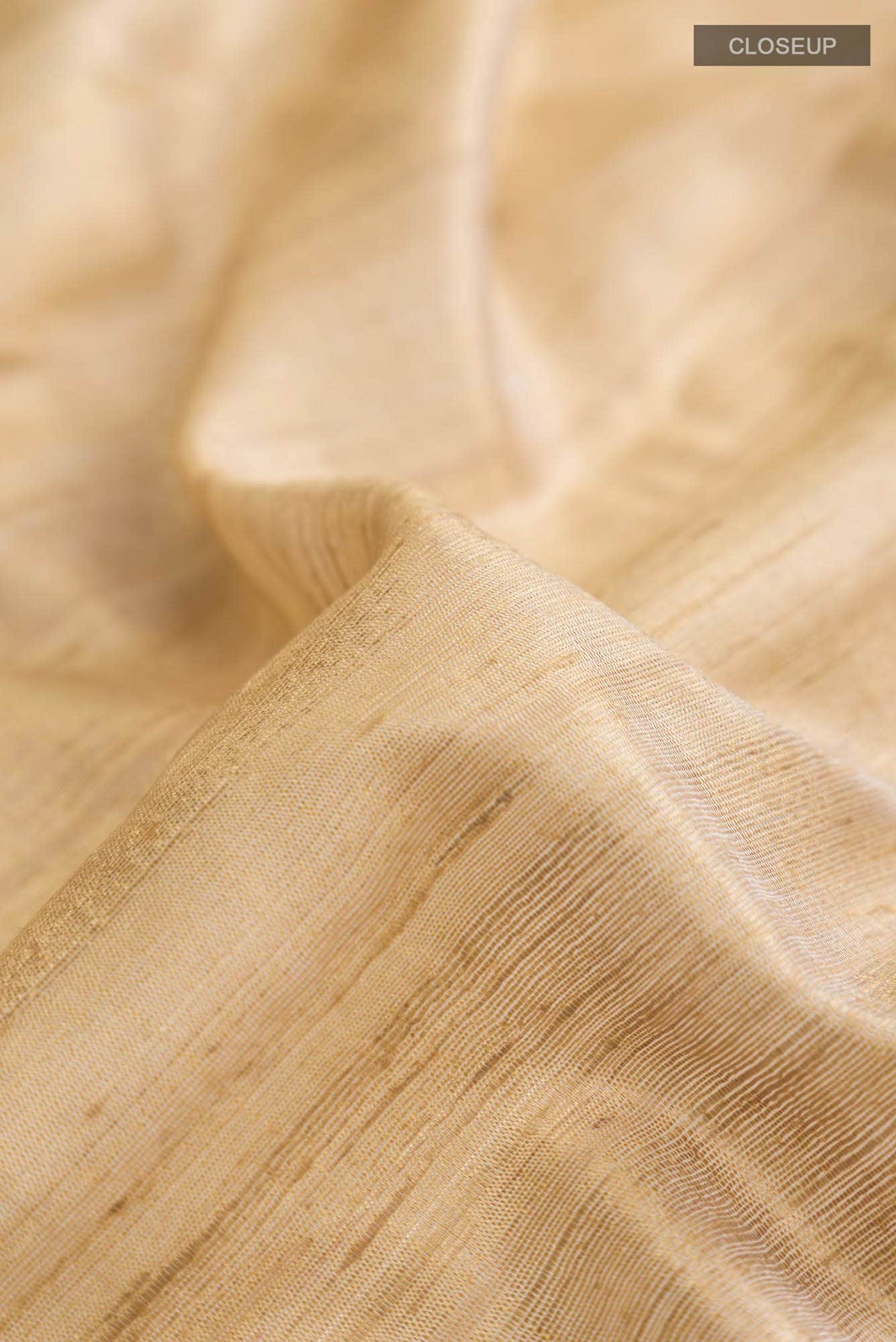 Amisha-Light Brown Bhagalpuri Tussar Silk Saree