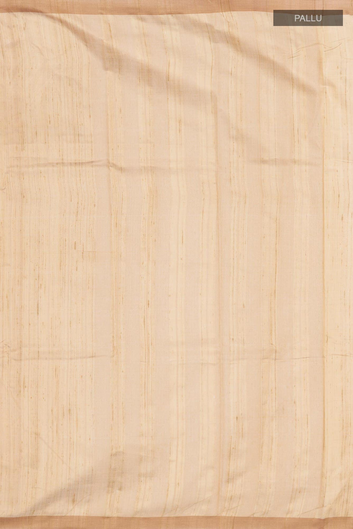 Amisha-Light Brown Bhagalpuri Tussar Silk Saree