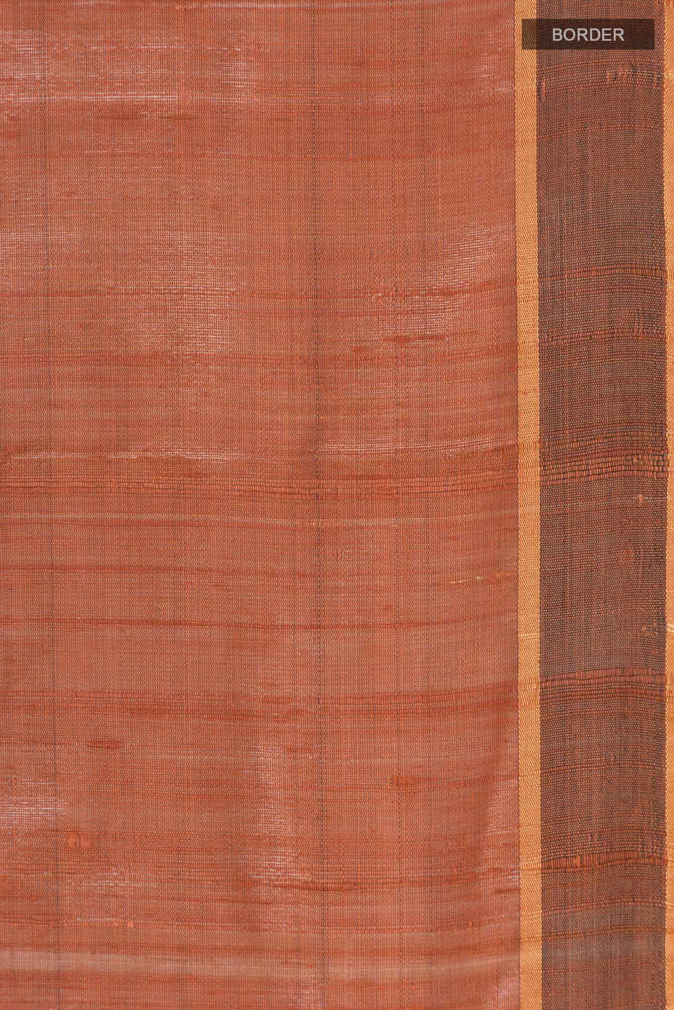 Espresso Shadow-Rust Bhagalpuri Tussar Silk Saree