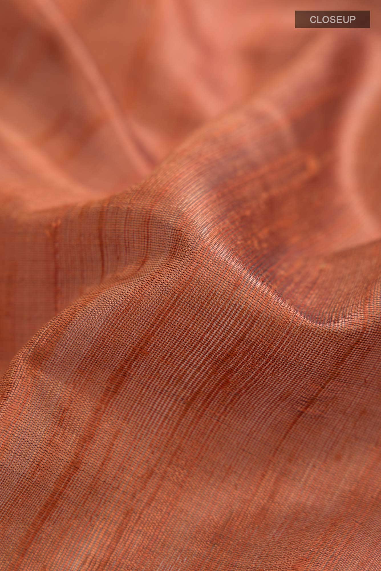 Espresso Shadow-Rust Bhagalpuri Tussar Silk Saree