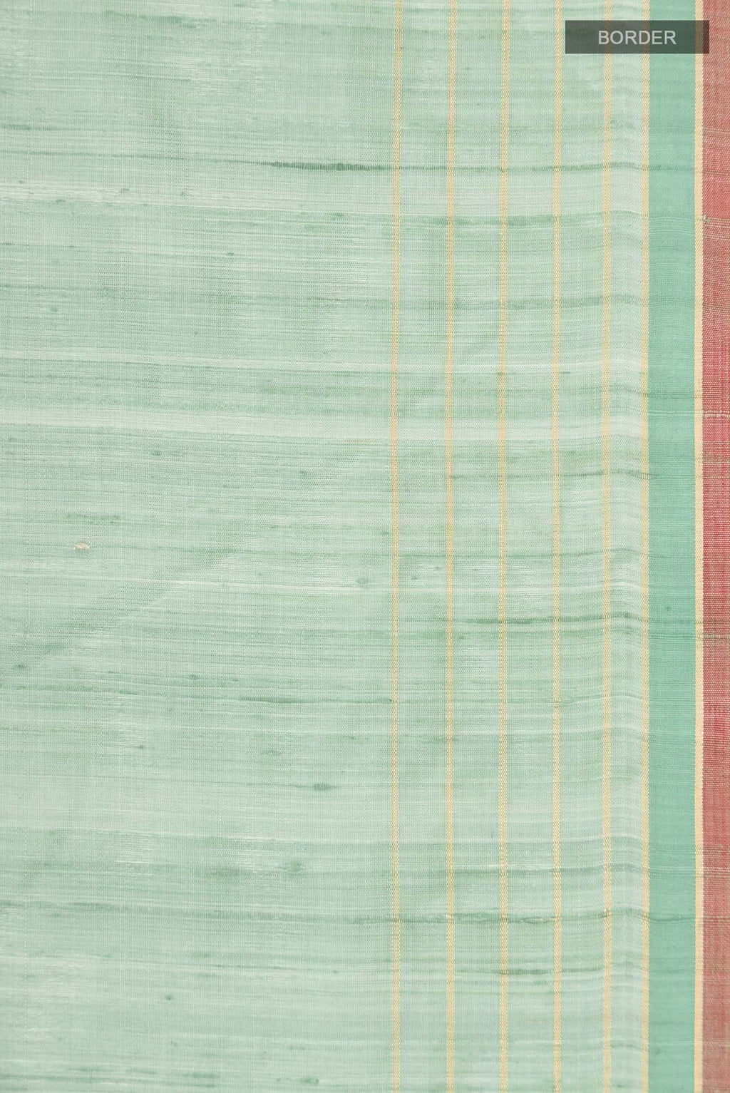 Erina-Mint Green Bhagalpuri Tussar Silk Saree