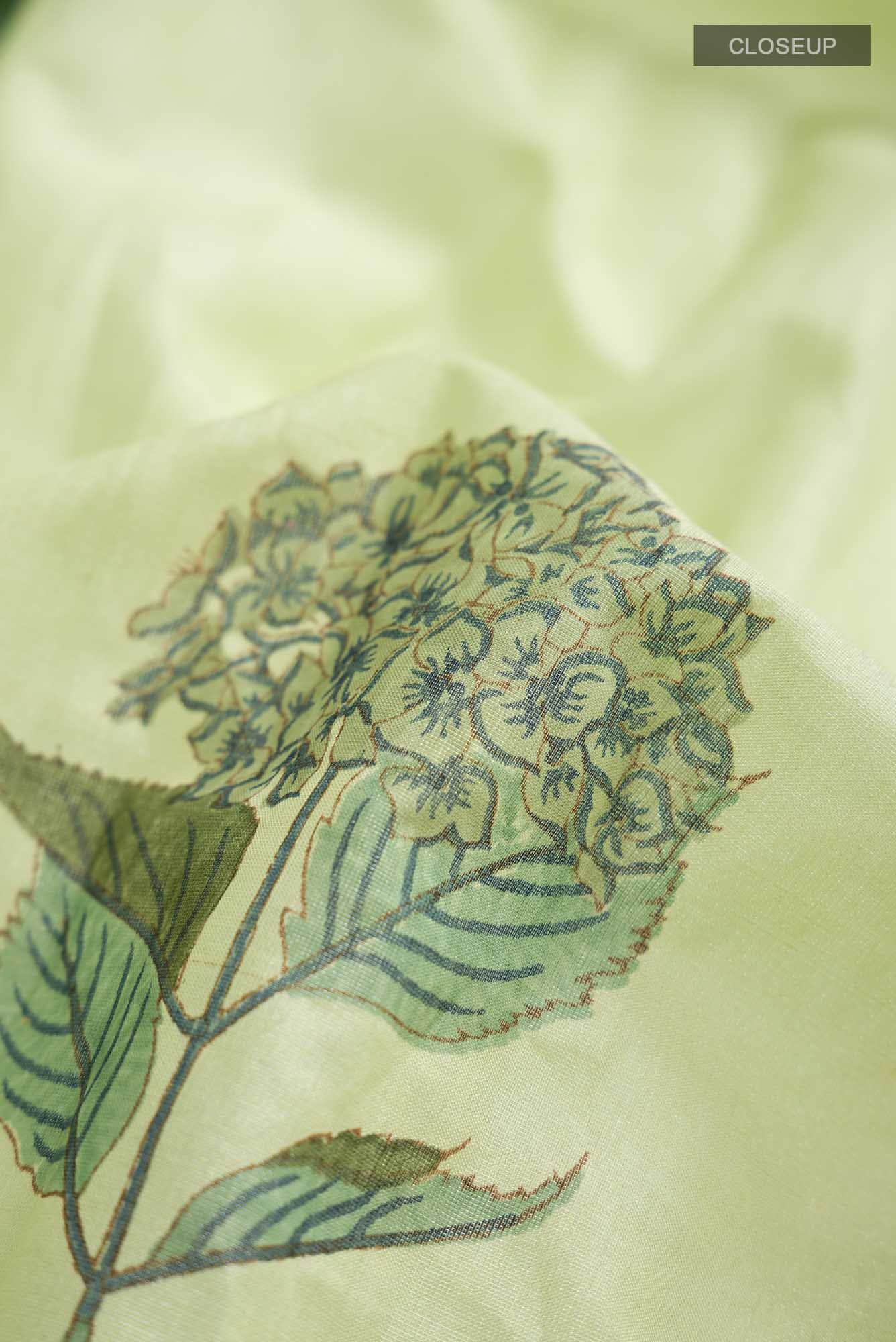 Green Silk Cotton Saree