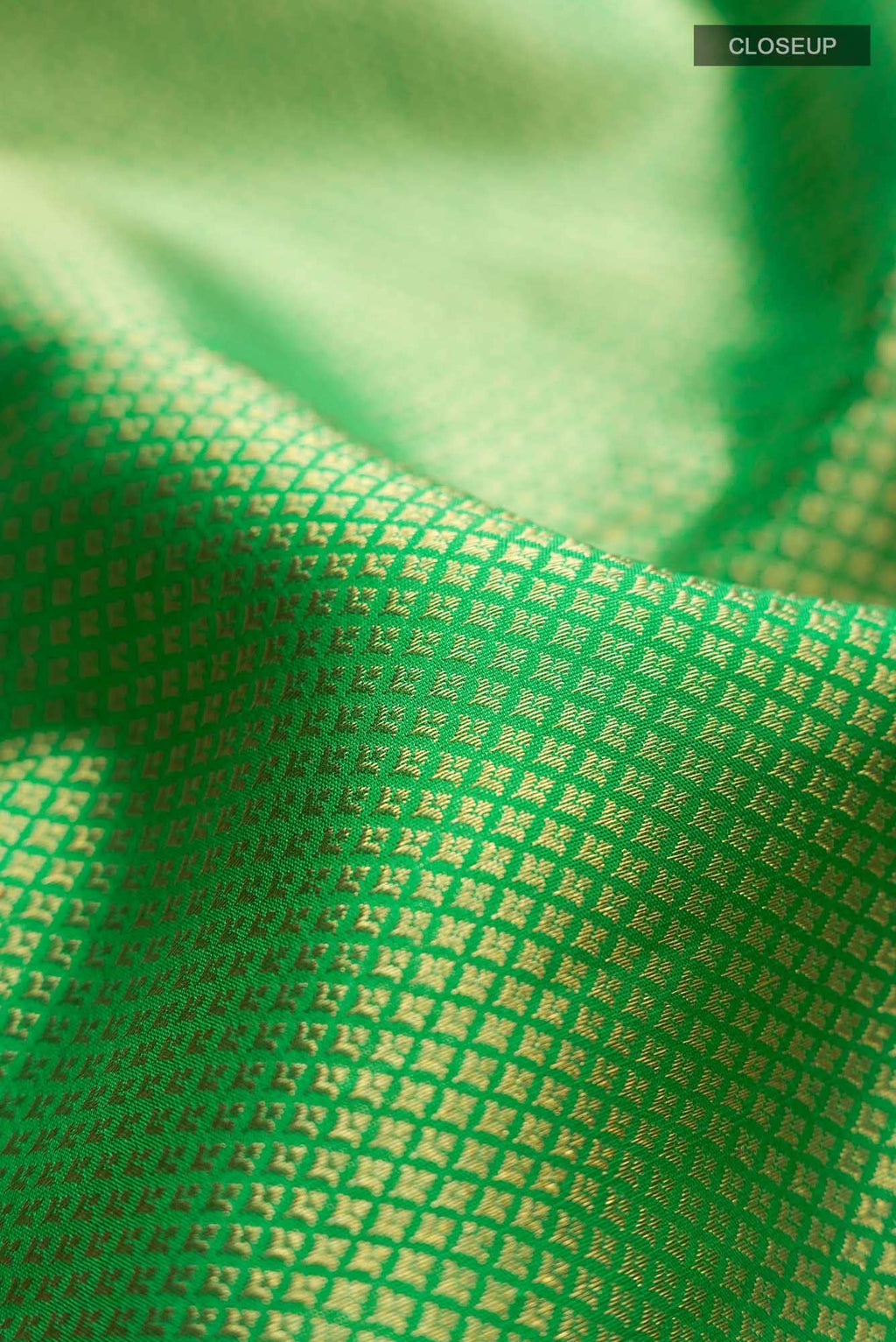 Green Kanchipuram Silk Saree