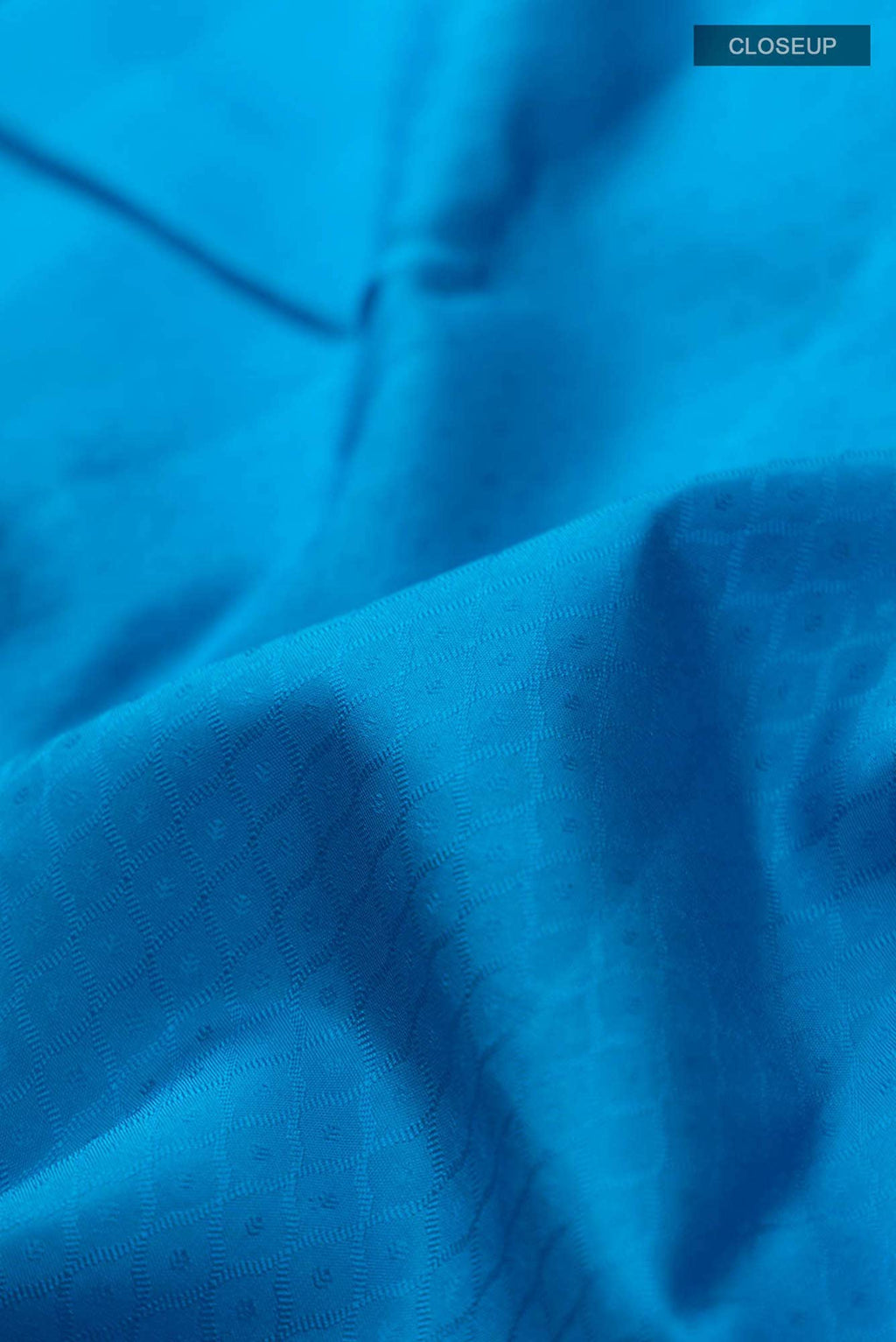 Blue Kanchipuram Silk Saree