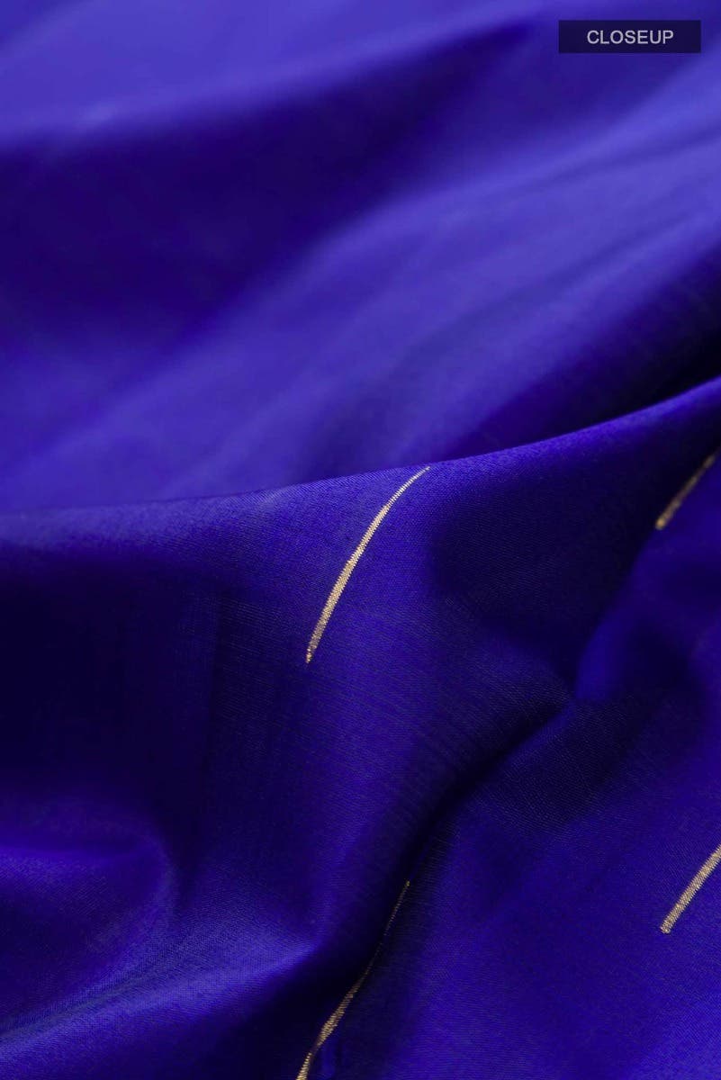 Blue Kanchipuram Silk Saree