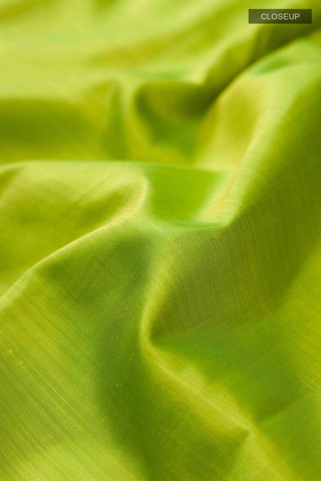 Green Kanchipuram Silk Saree