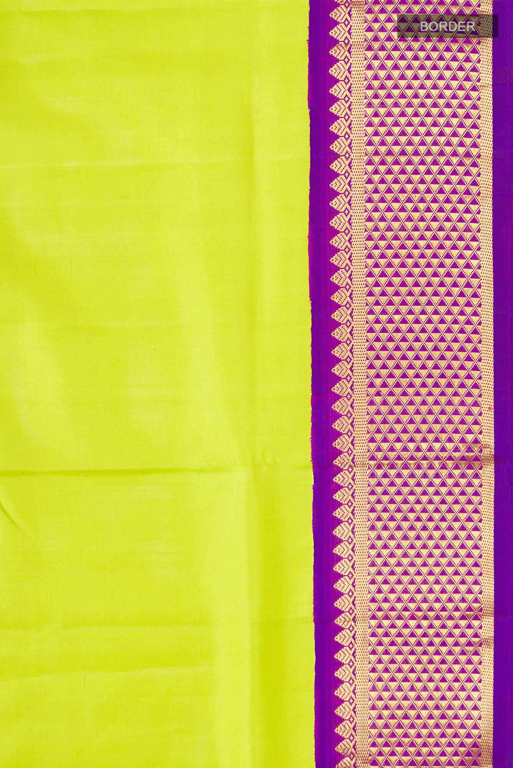 Green Kanchipuram Silk Nine Yards Saree