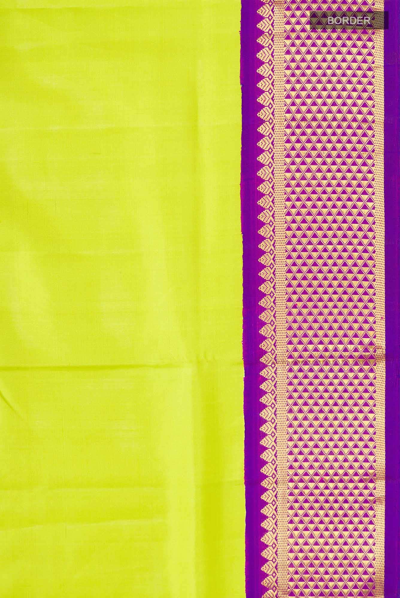 Green Kanchipuram Silk Nine Yards Saree