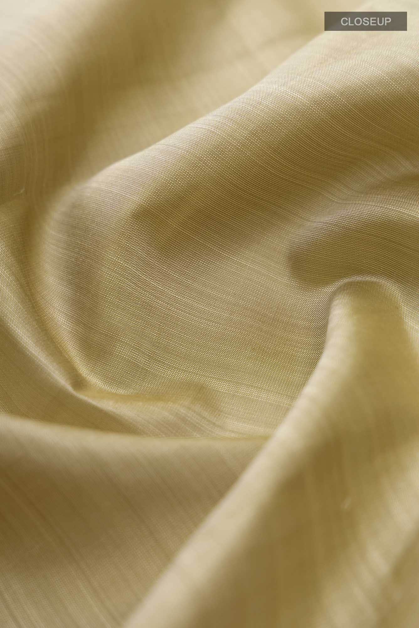Beige Kanchipuram Silk Saree