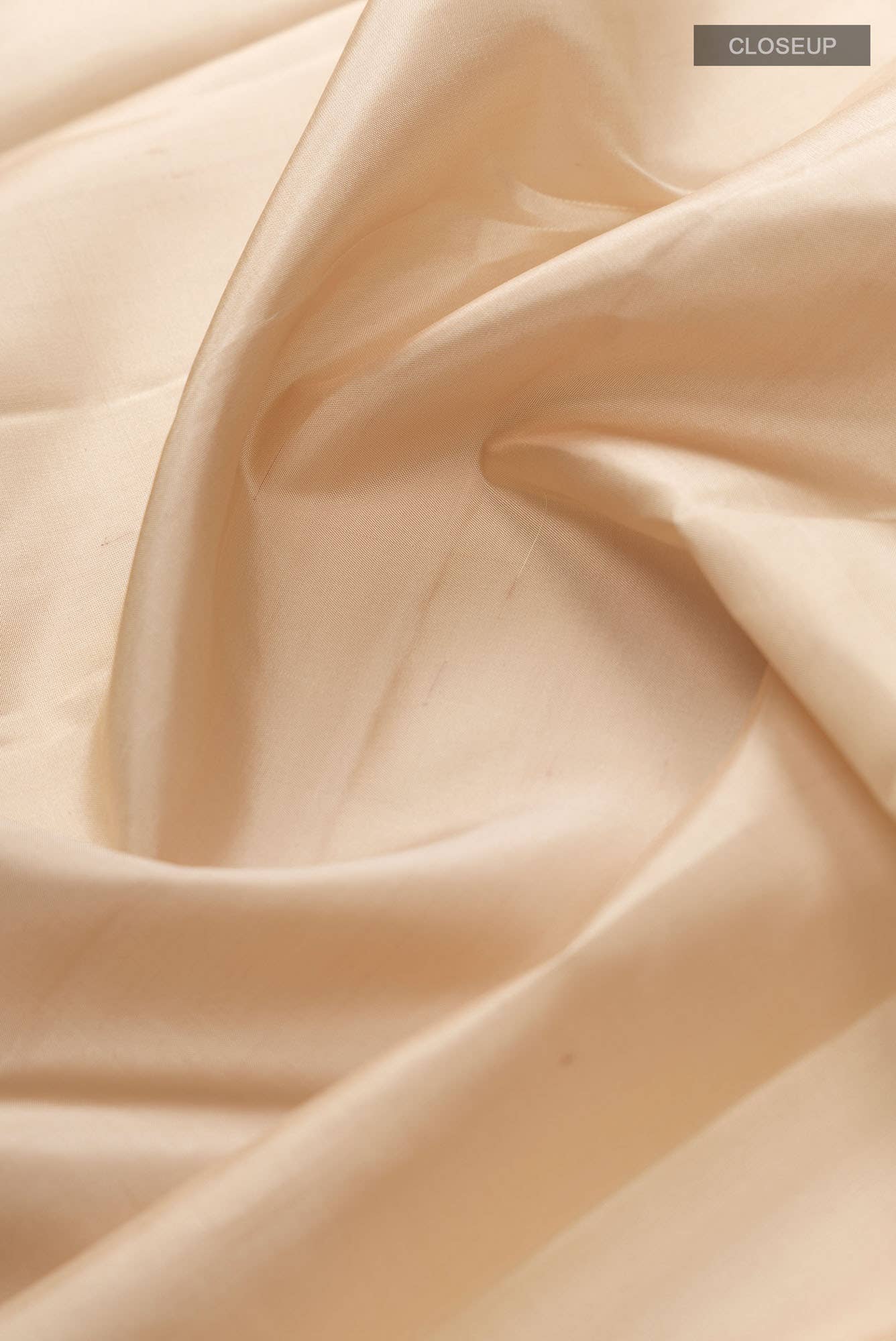 Beige Kanchipuram Silk Saree