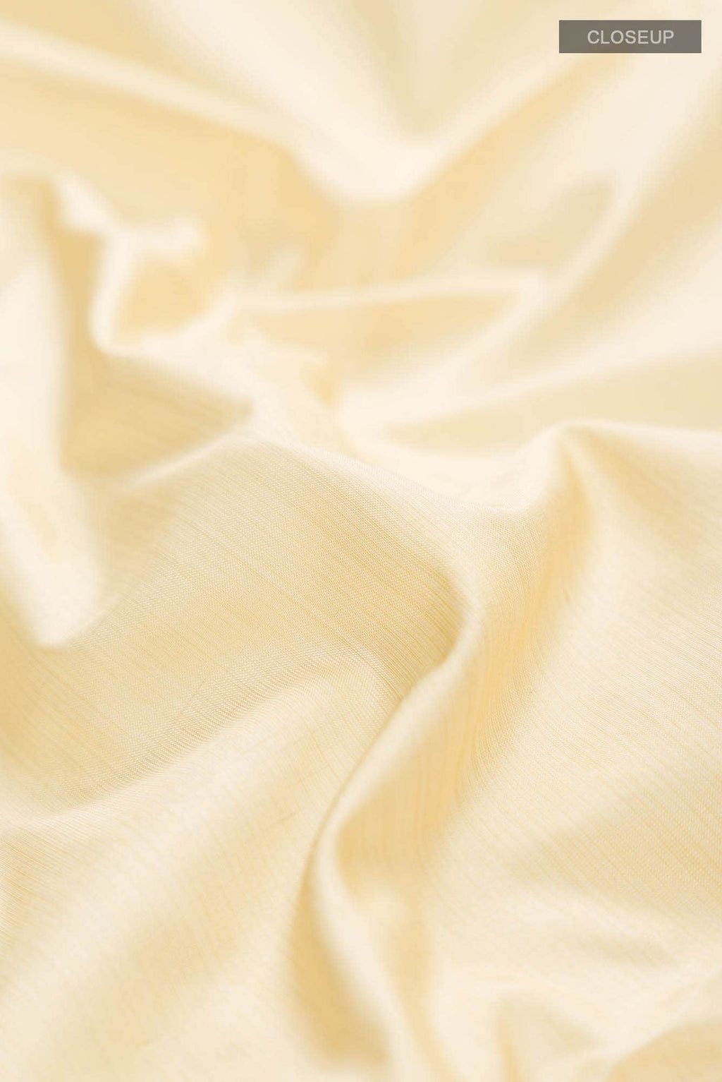 Beige Kanchipuram Silk Saree