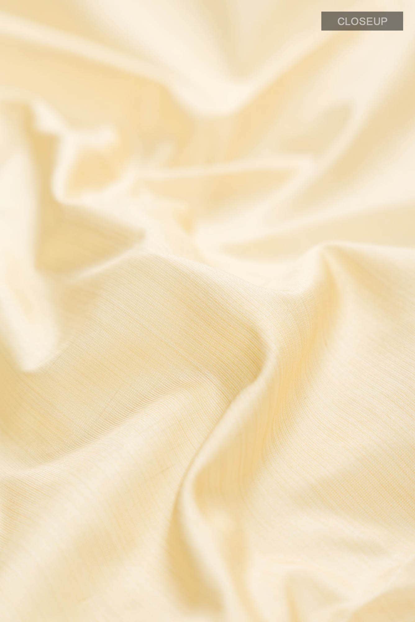 Beige Kanchipuram Silk Saree