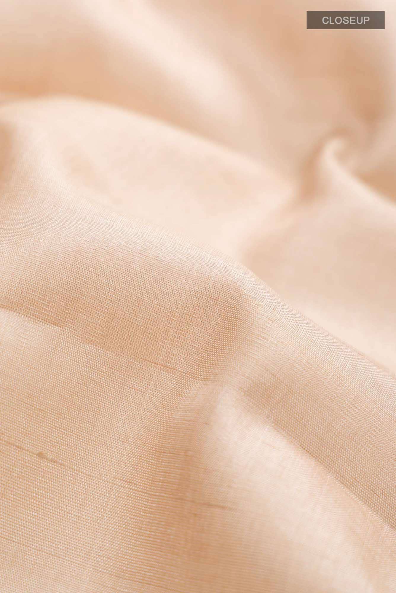 Beige Tussar Silk Saree