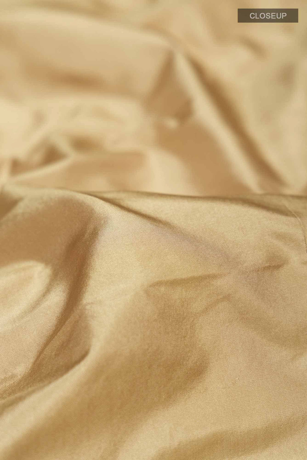 Beige Bangalore Silk Saree