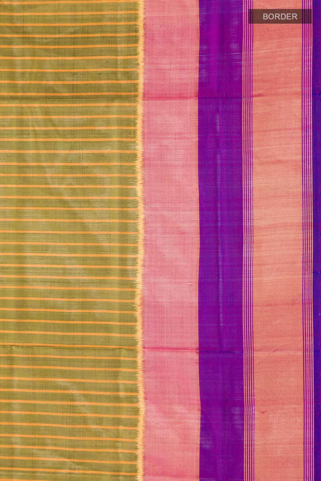 Multi Rajkot Patola Silk Saree