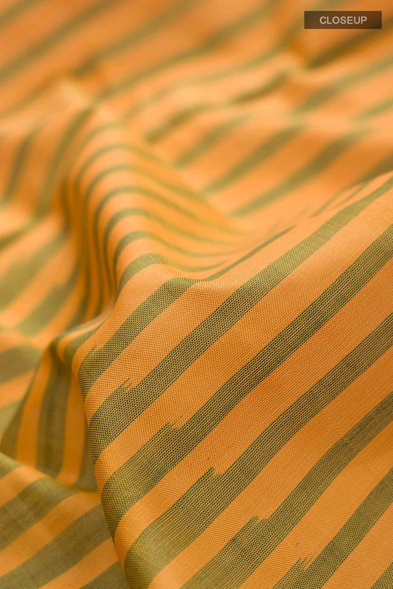 Multi Rajkot Patola Silk Saree