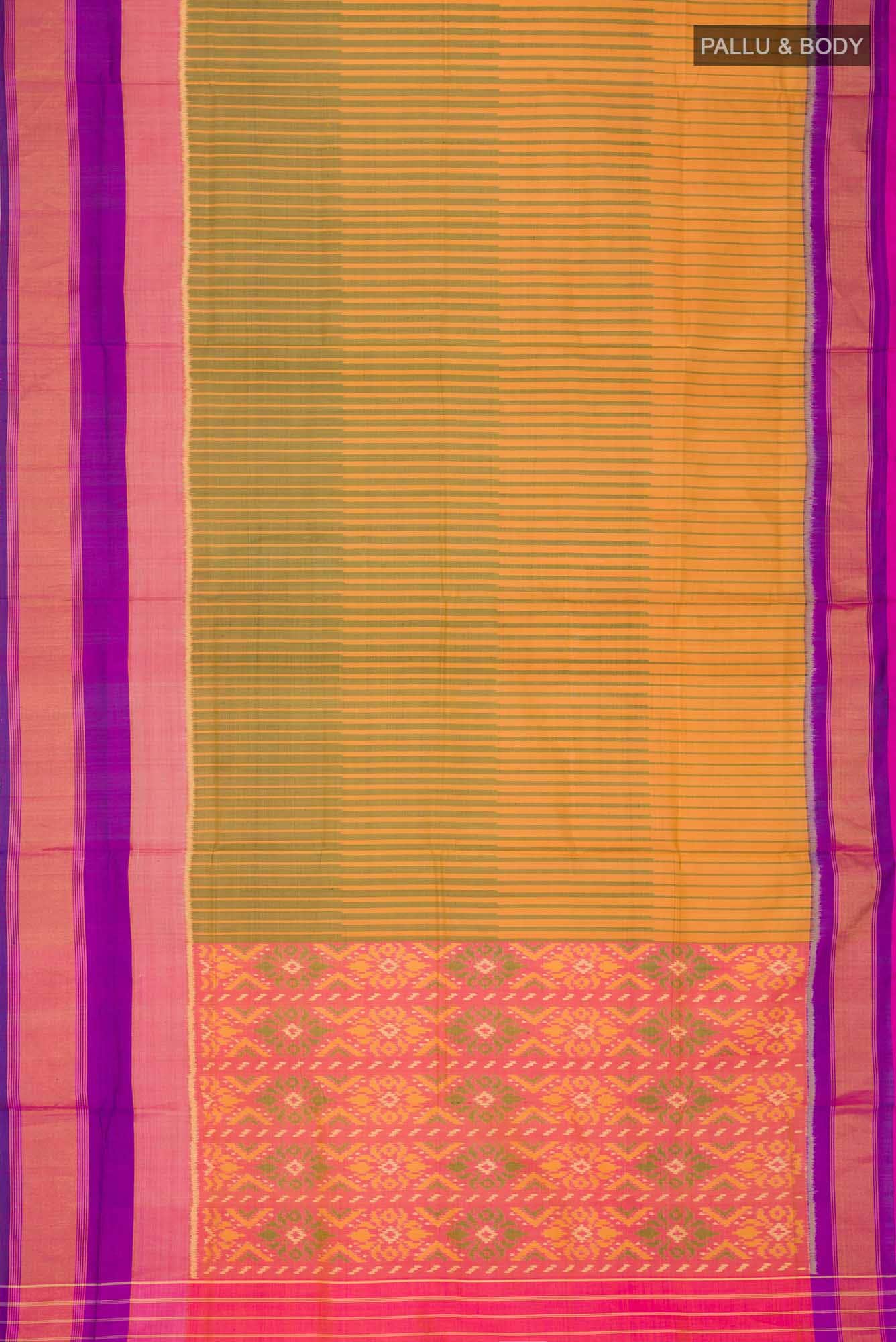 Multi Rajkot Patola Silk Saree