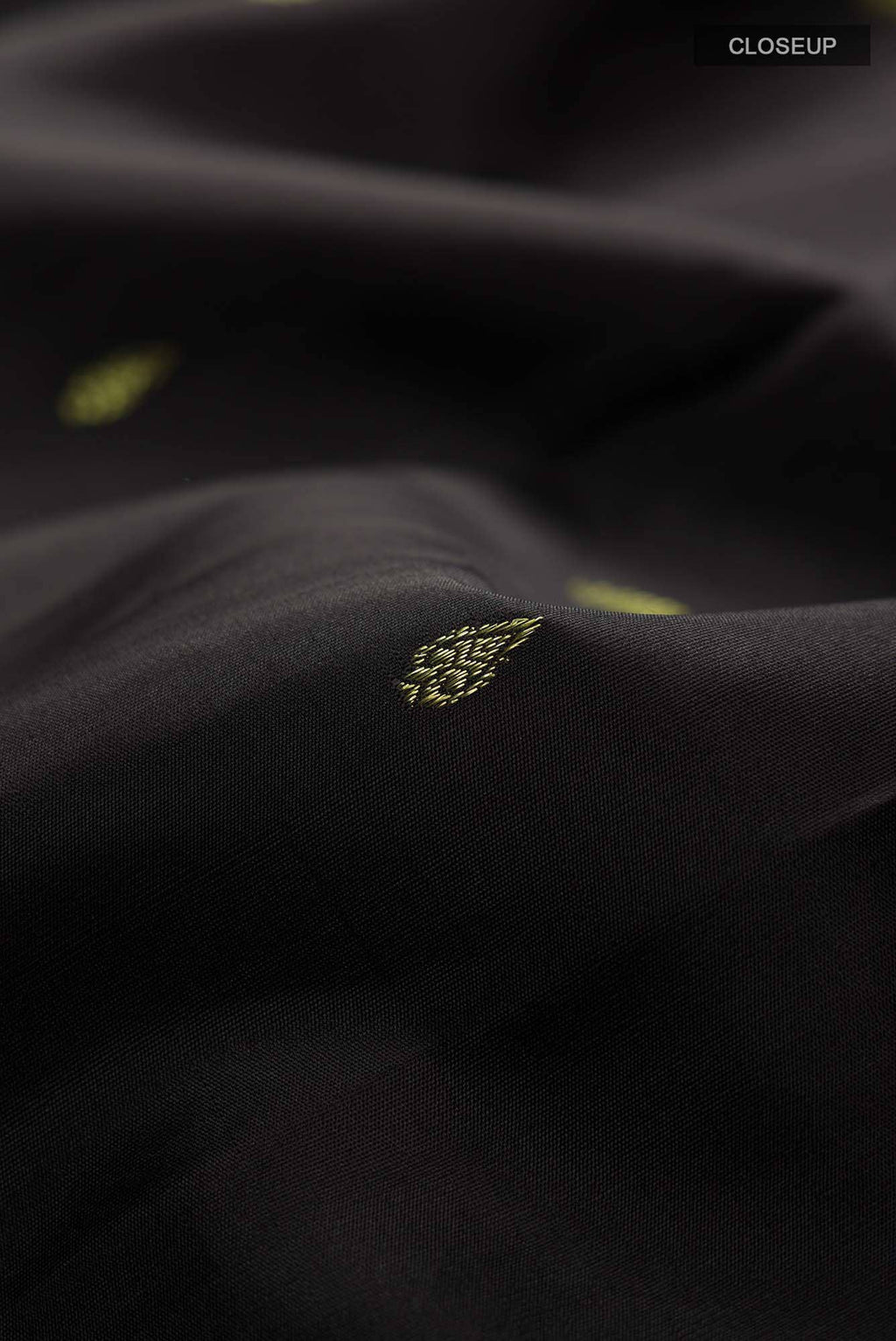 Black Kanchipuram Silk Saree