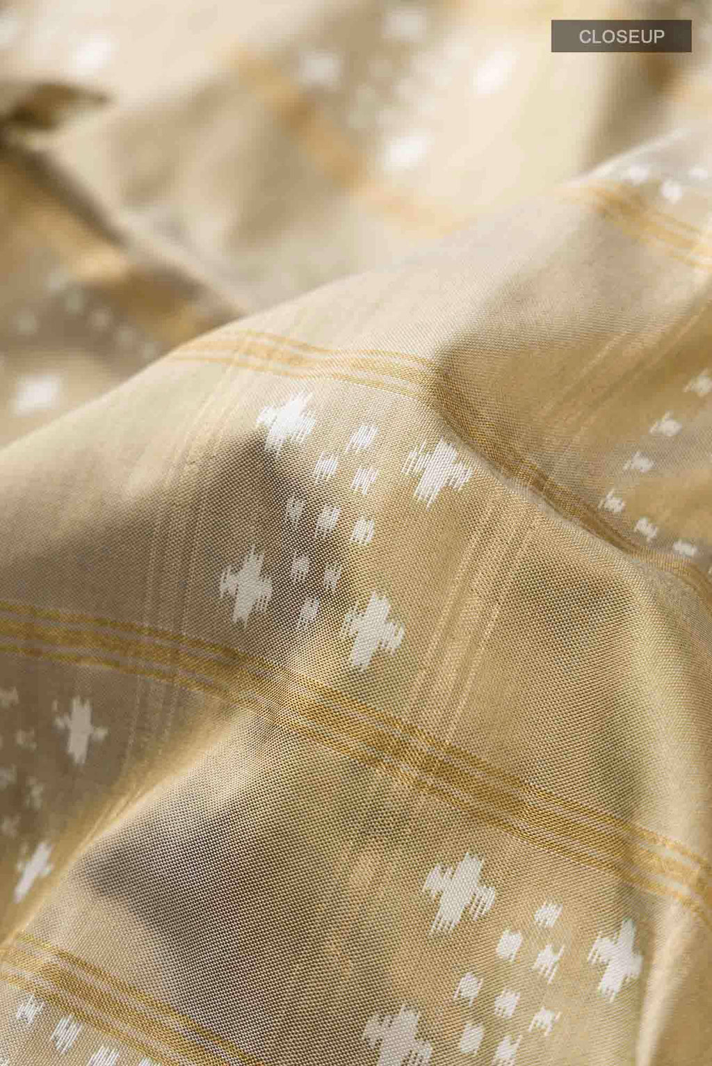 Beige Pochampally Silk Saree