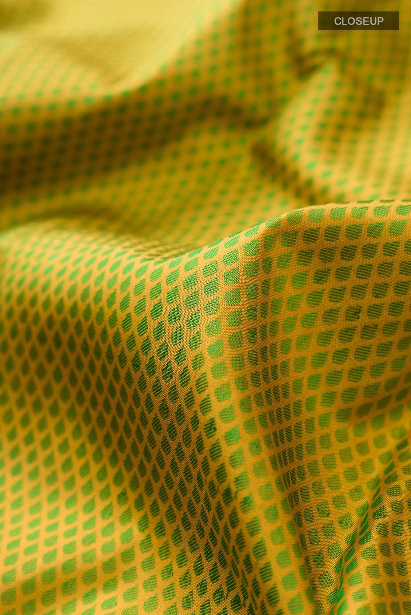 Green Kanchipuram Silk Saree