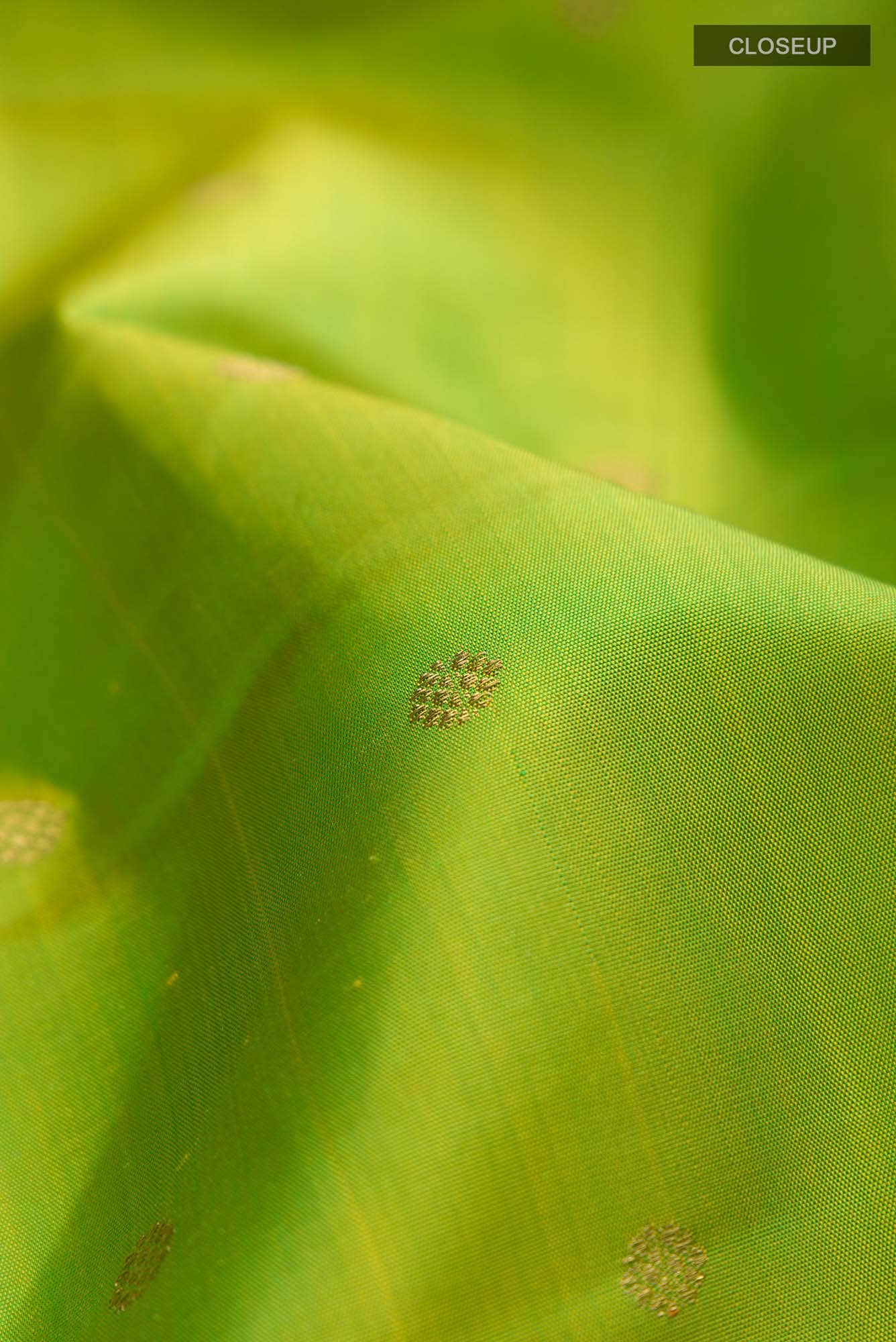 Green Kanchipuram Silk Saree
