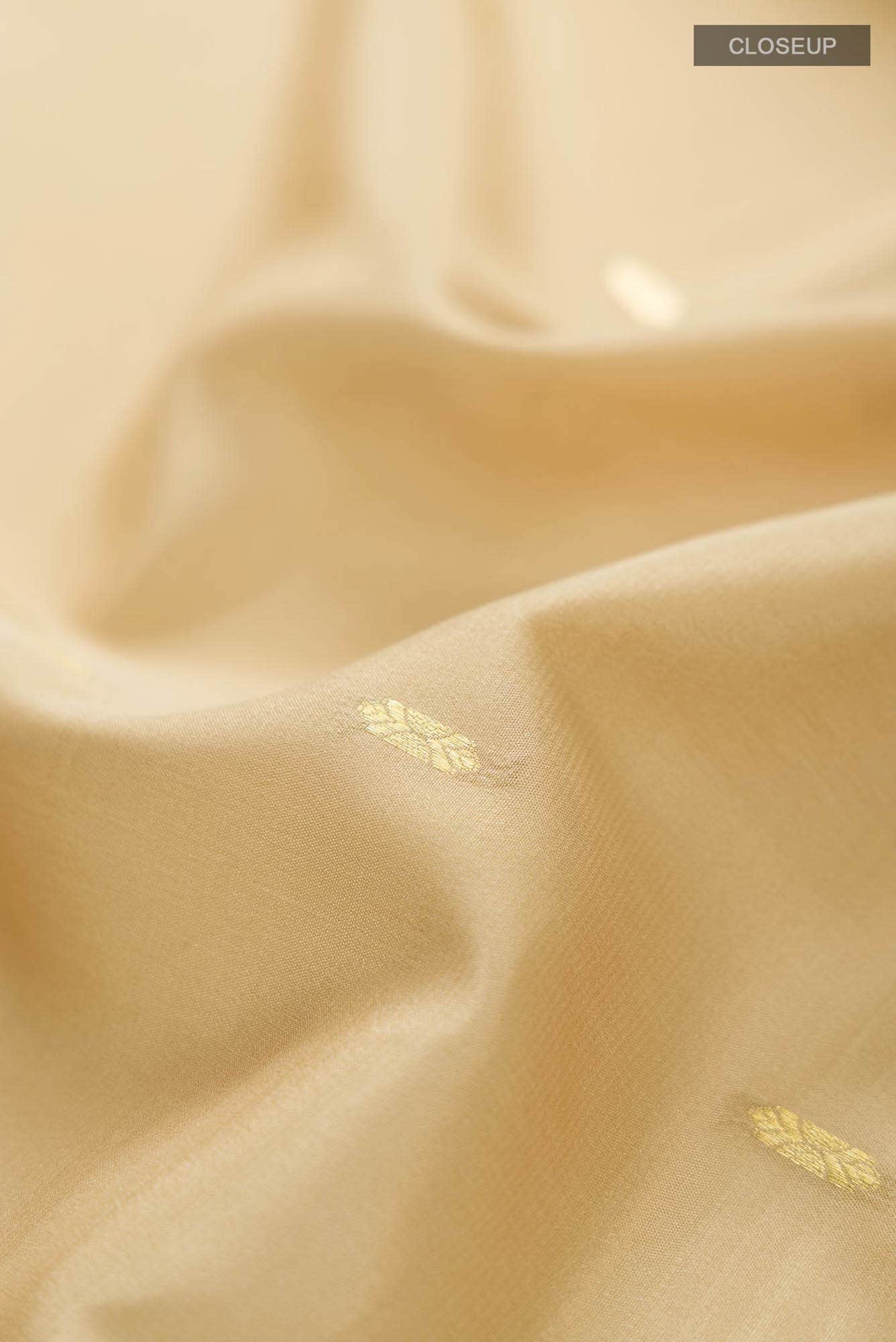 Beige Mysore Crepe Saree