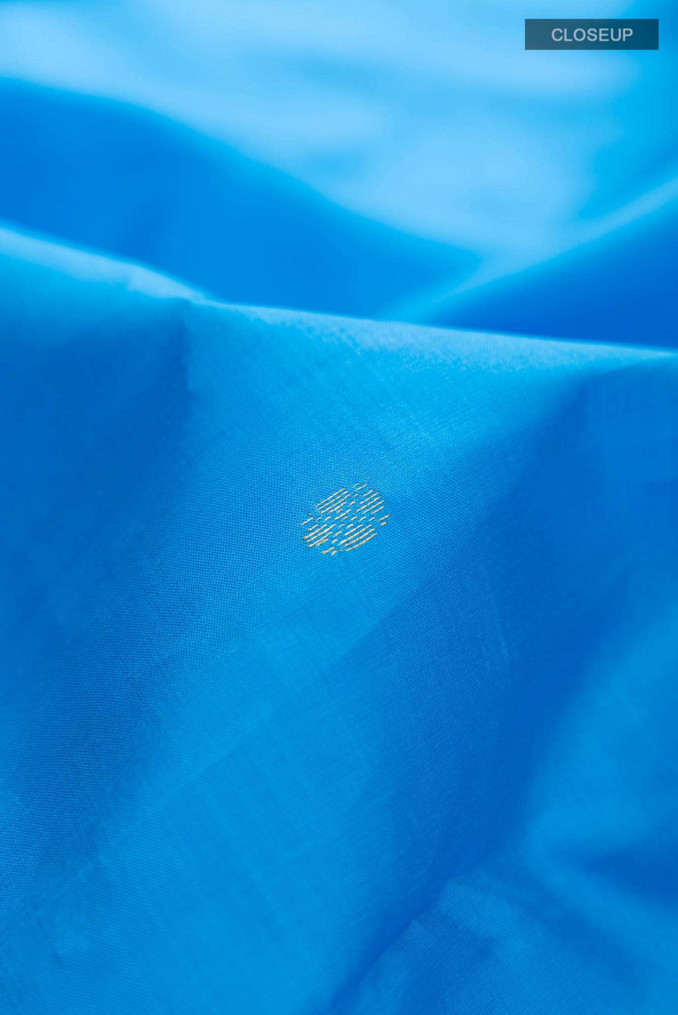 Blue Kanchipuram Silk Saree