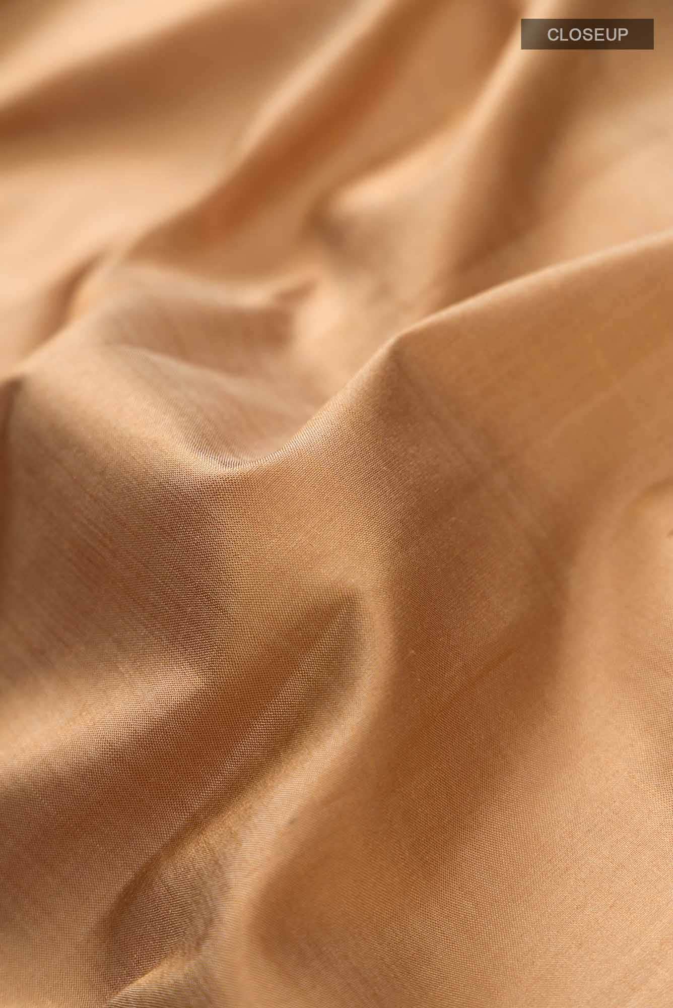 Beige Kanchipuram Silk Saree