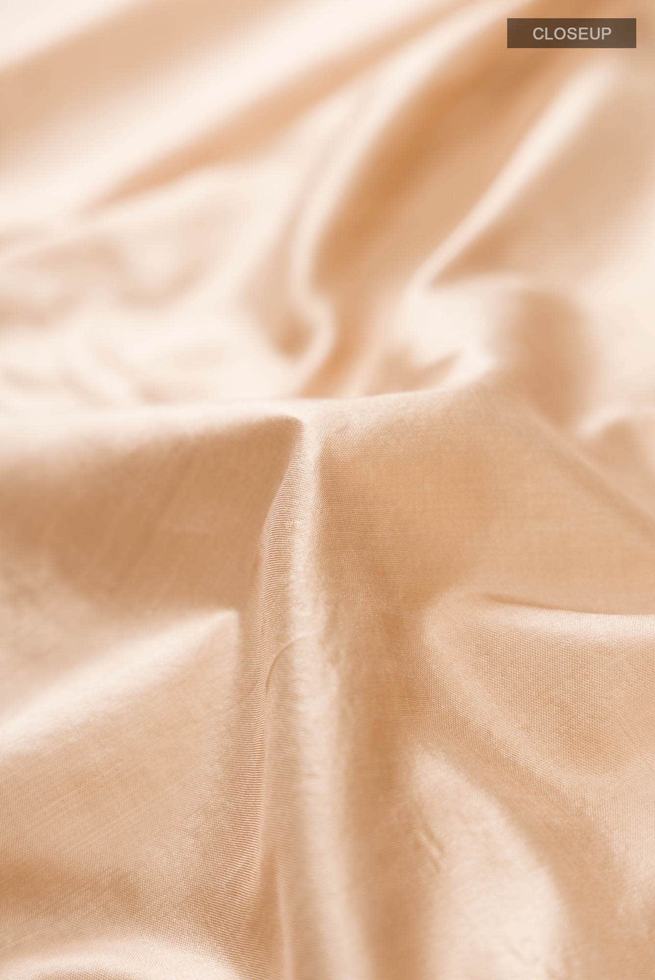 Beige Banarasi Katan Silk Saree