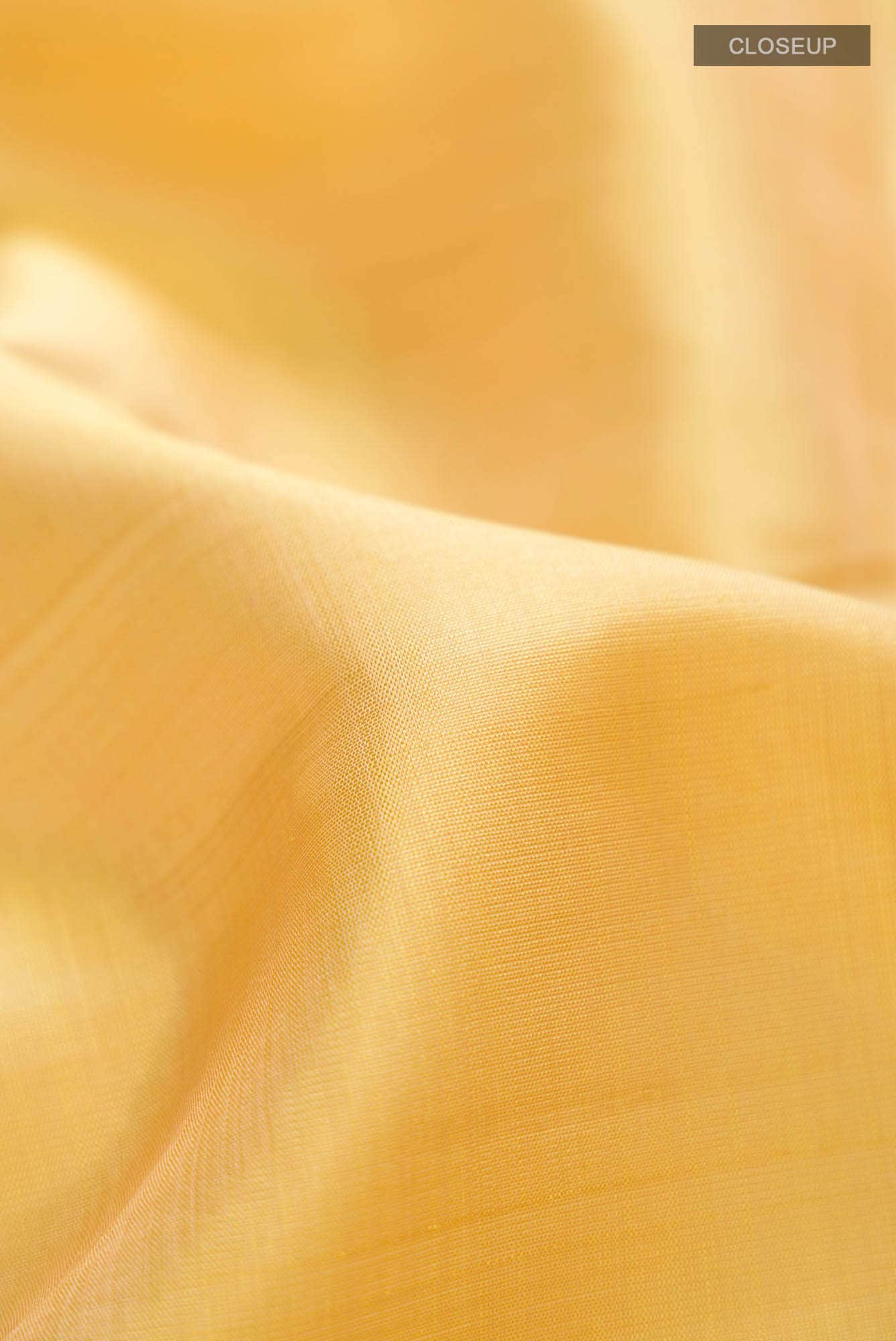 Beige Kanchipuram Silk Saree