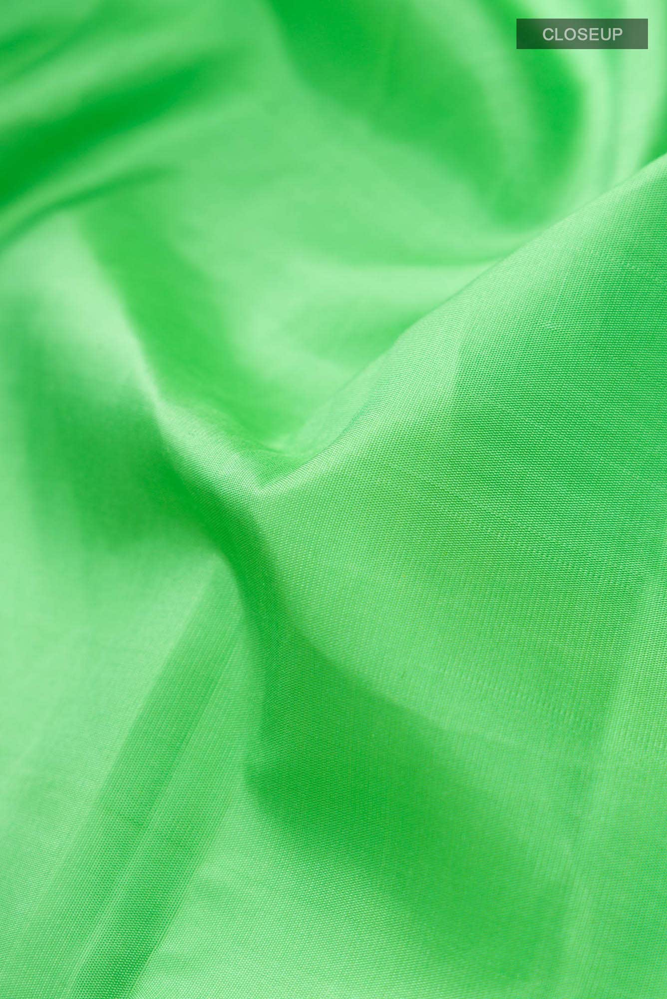 Green Kanchipuram Silk Saree