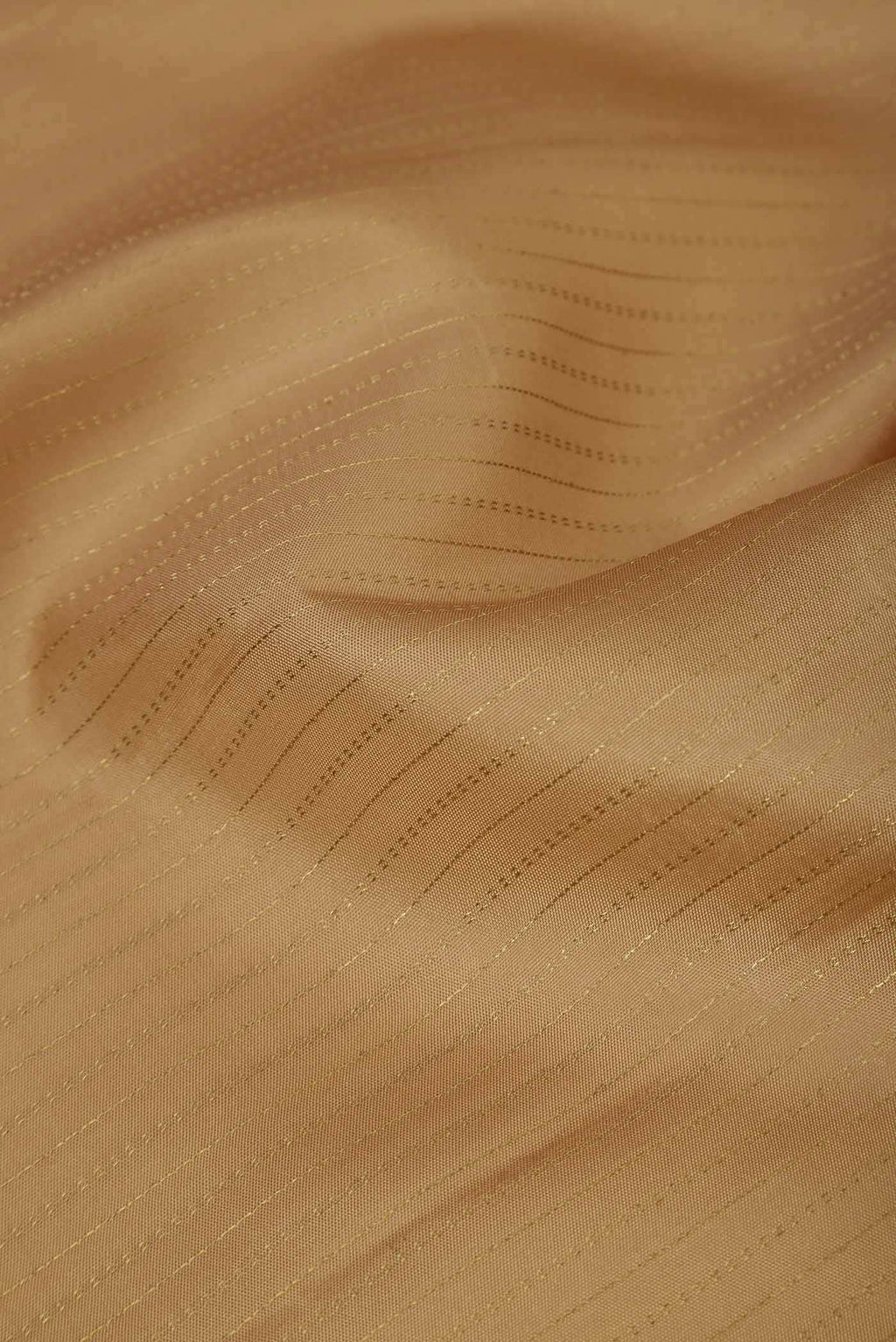 Beige Kanchipuram Silk Saree