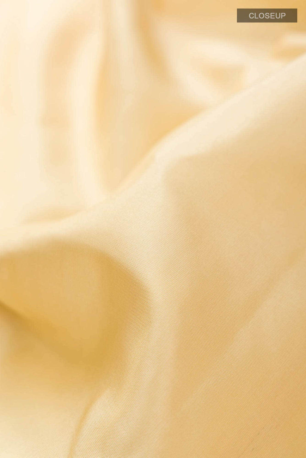 Beige Kanchipuram Silk Saree