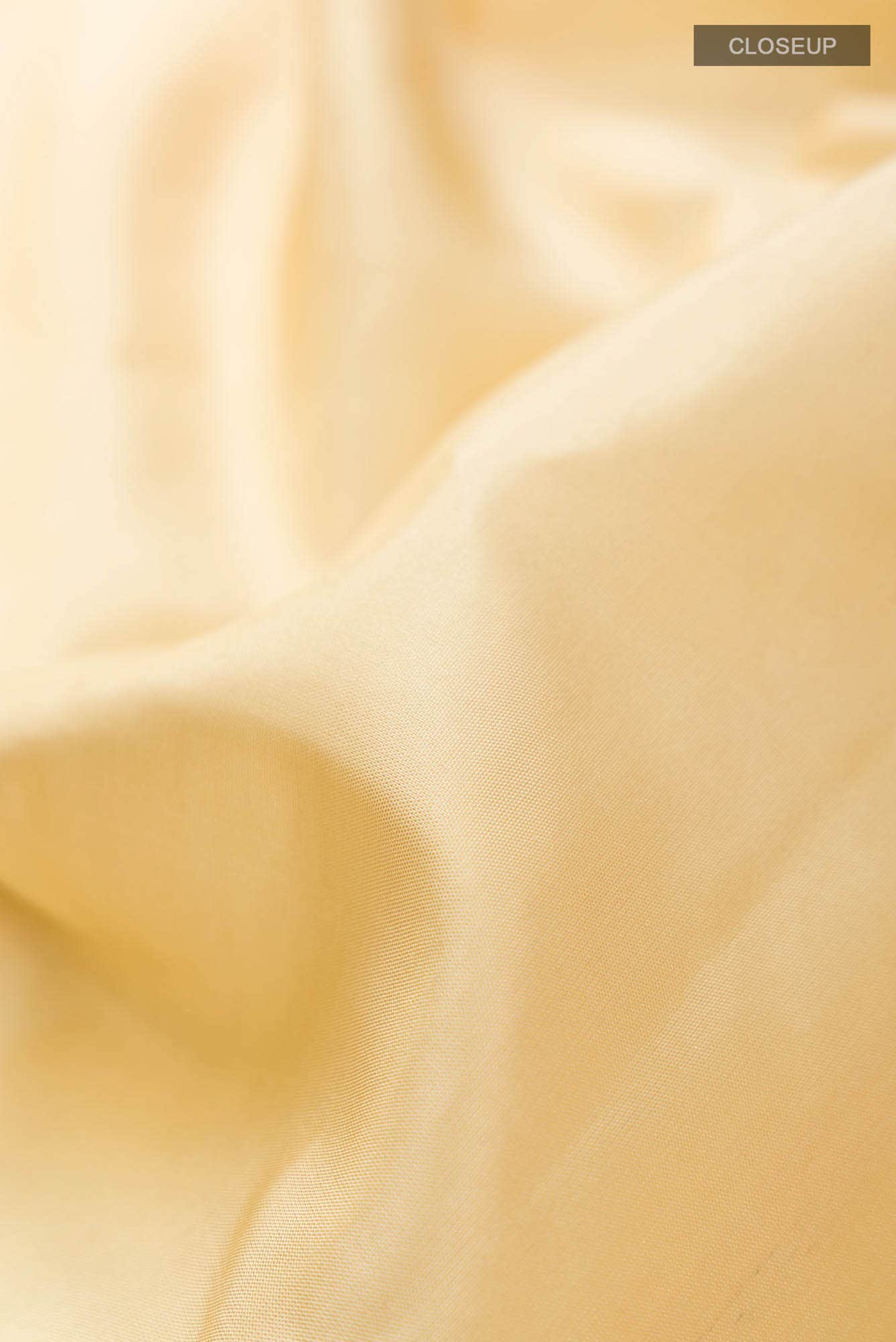 Beige Kanchipuram Silk Saree