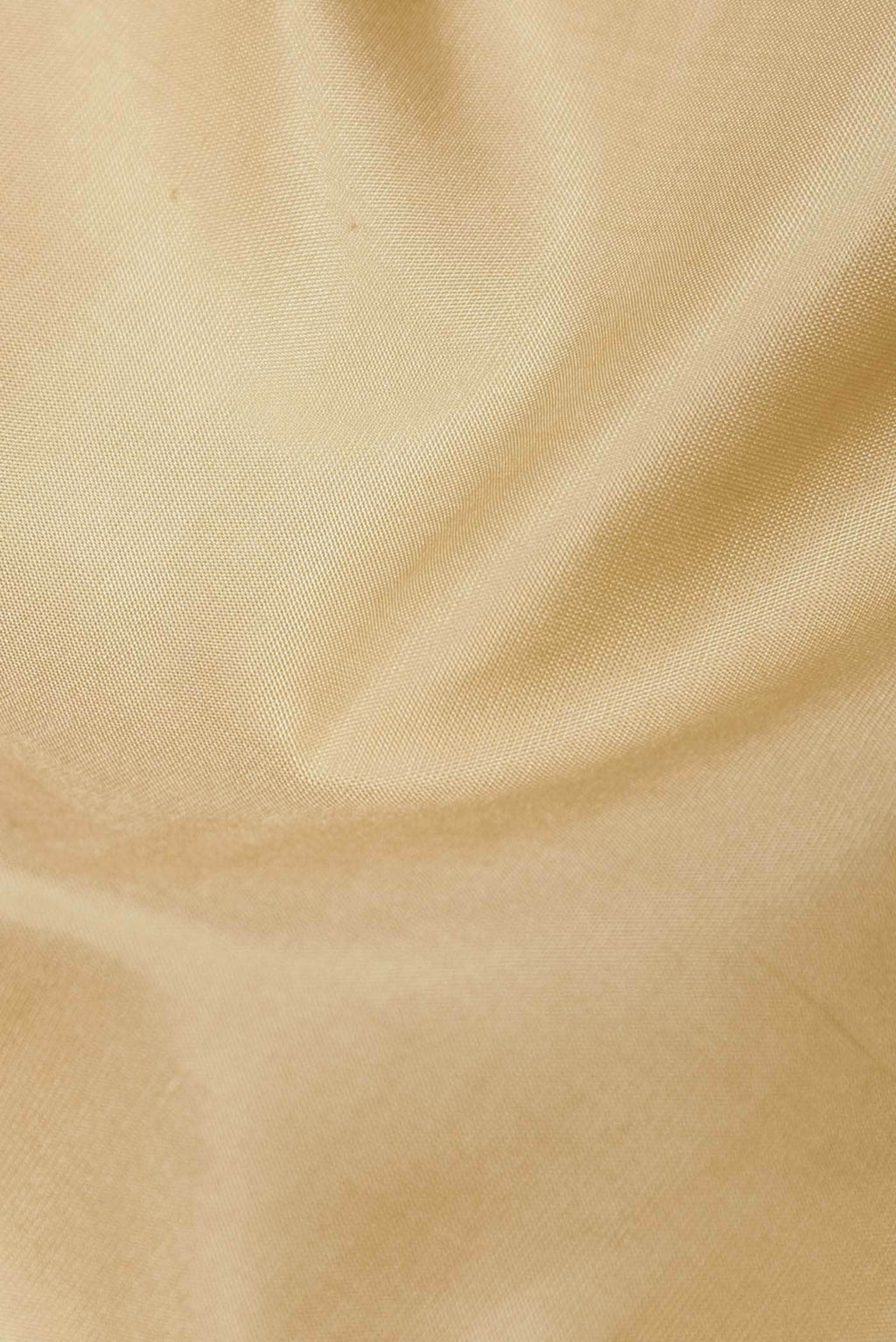 Cream Kanchipuram Silk Saree