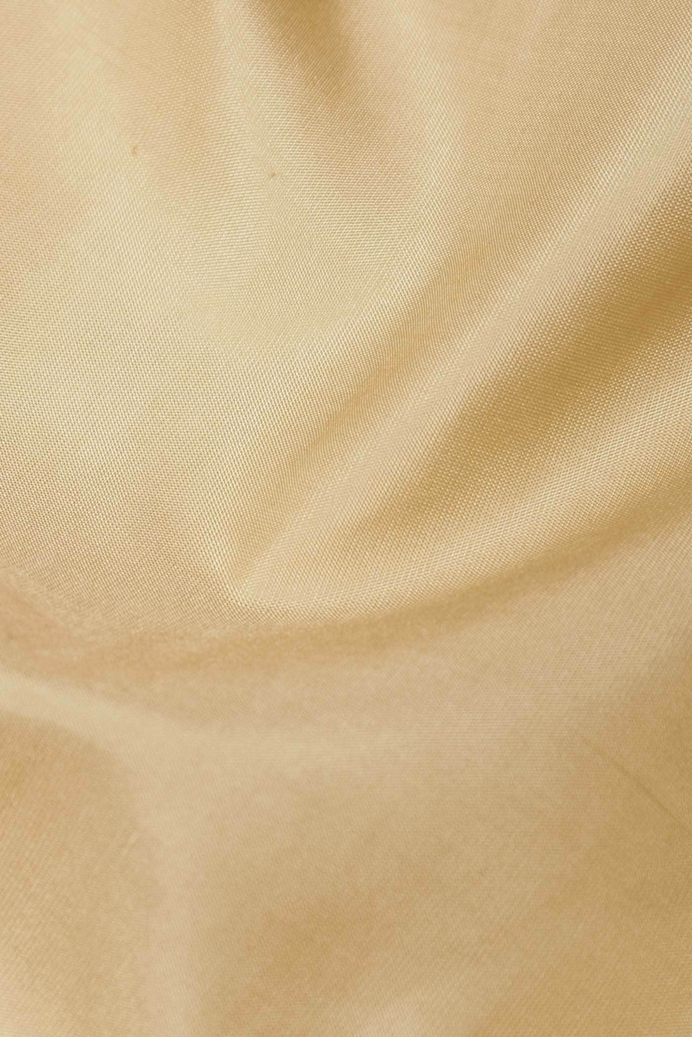 Cream Kanchipuram Silk Saree