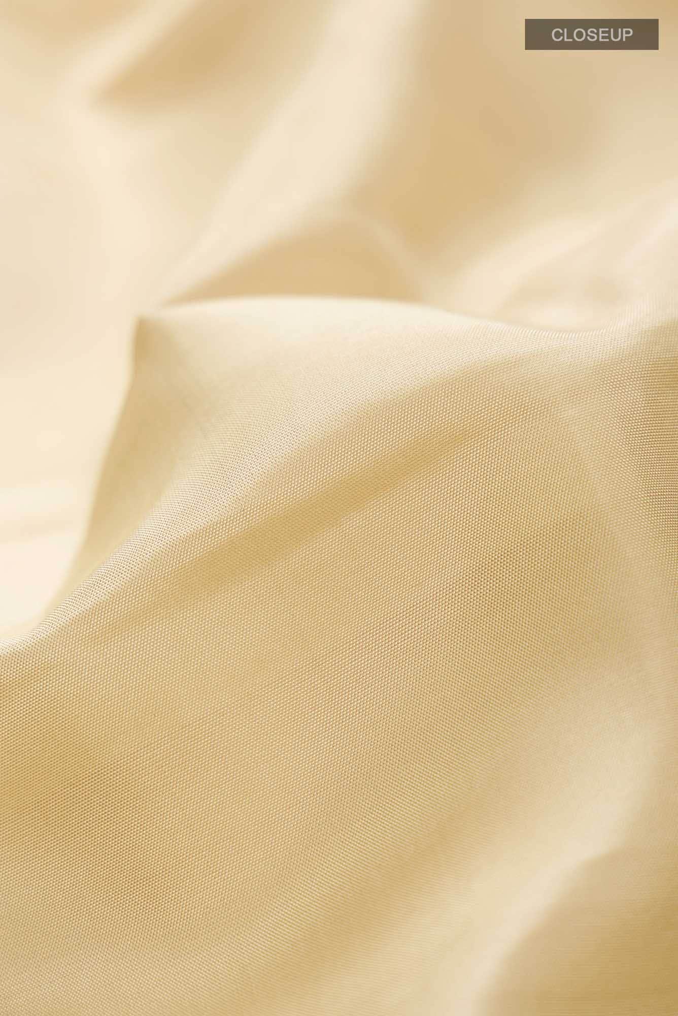 Beige Kanchipuram Silk Saree