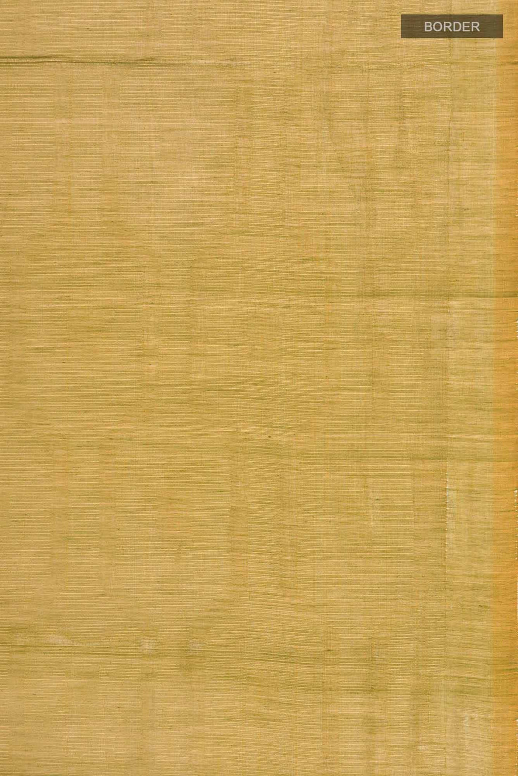 Green with yellow Dual Tone Silk Cotton Saree