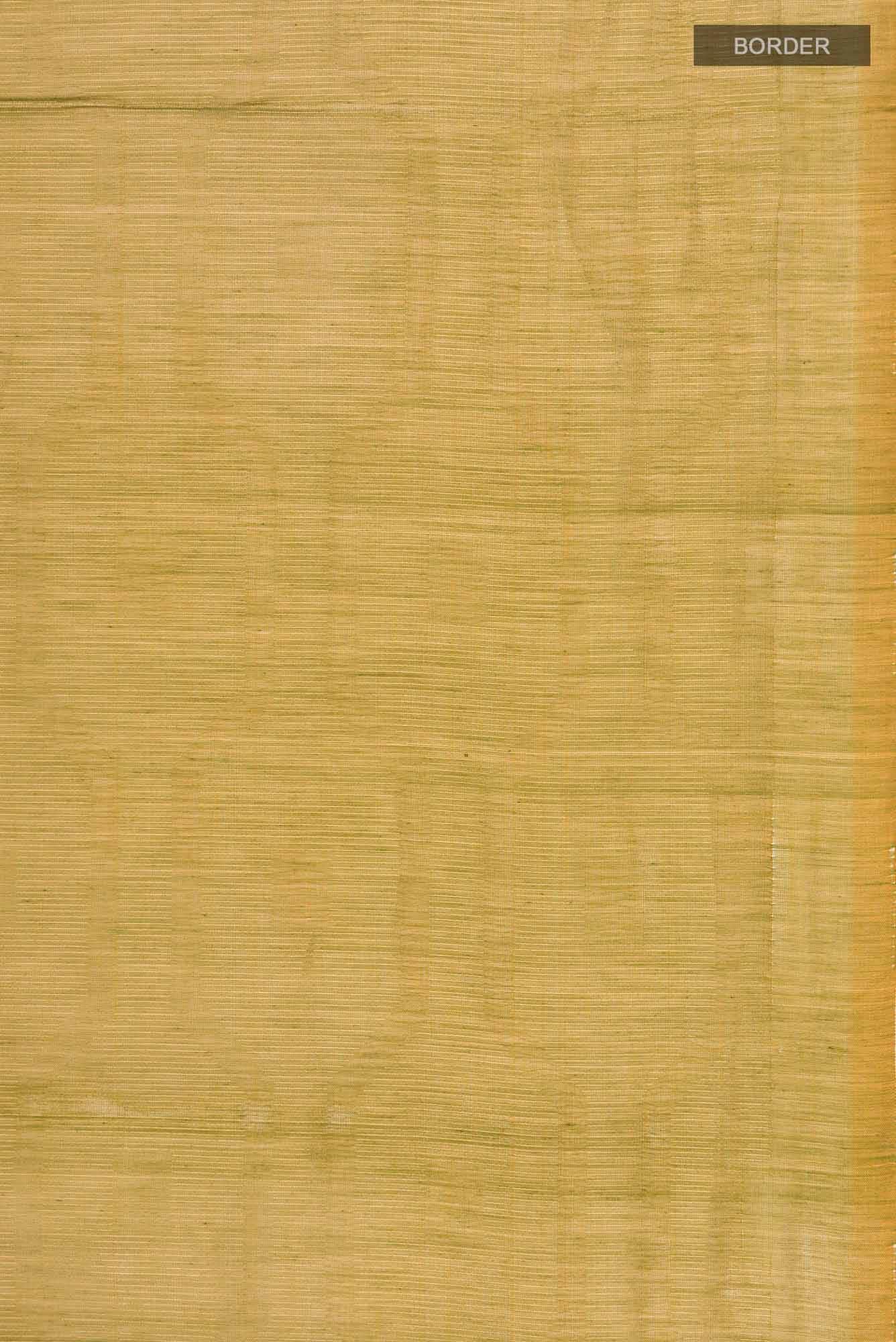 Green with yellow Dual Tone Silk Cotton Saree