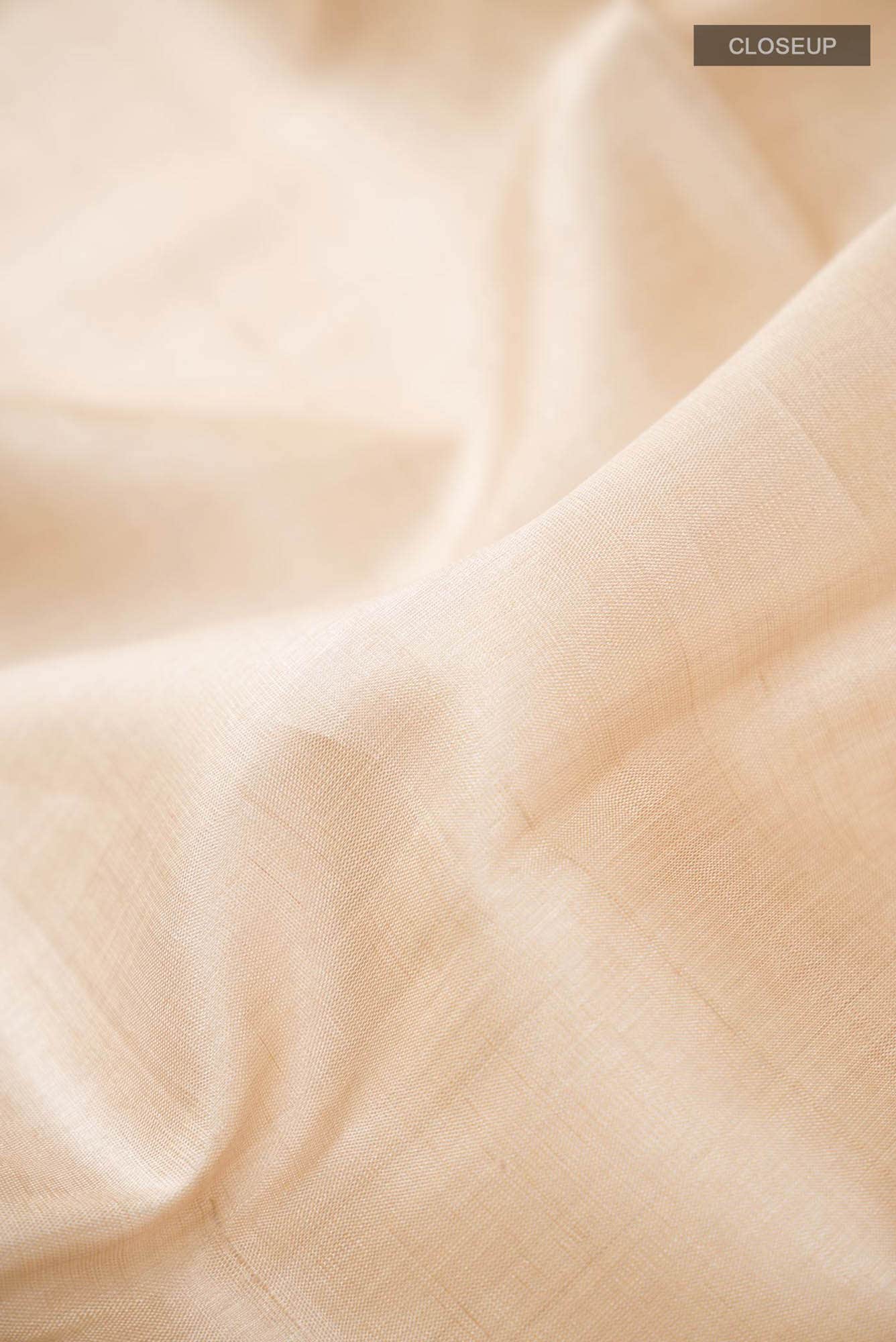 Beige Banarasi Tussar Silk Saree