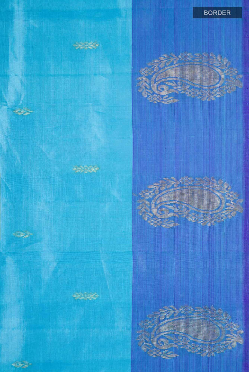 Sky Blue Kanchipuram Silk Saree
