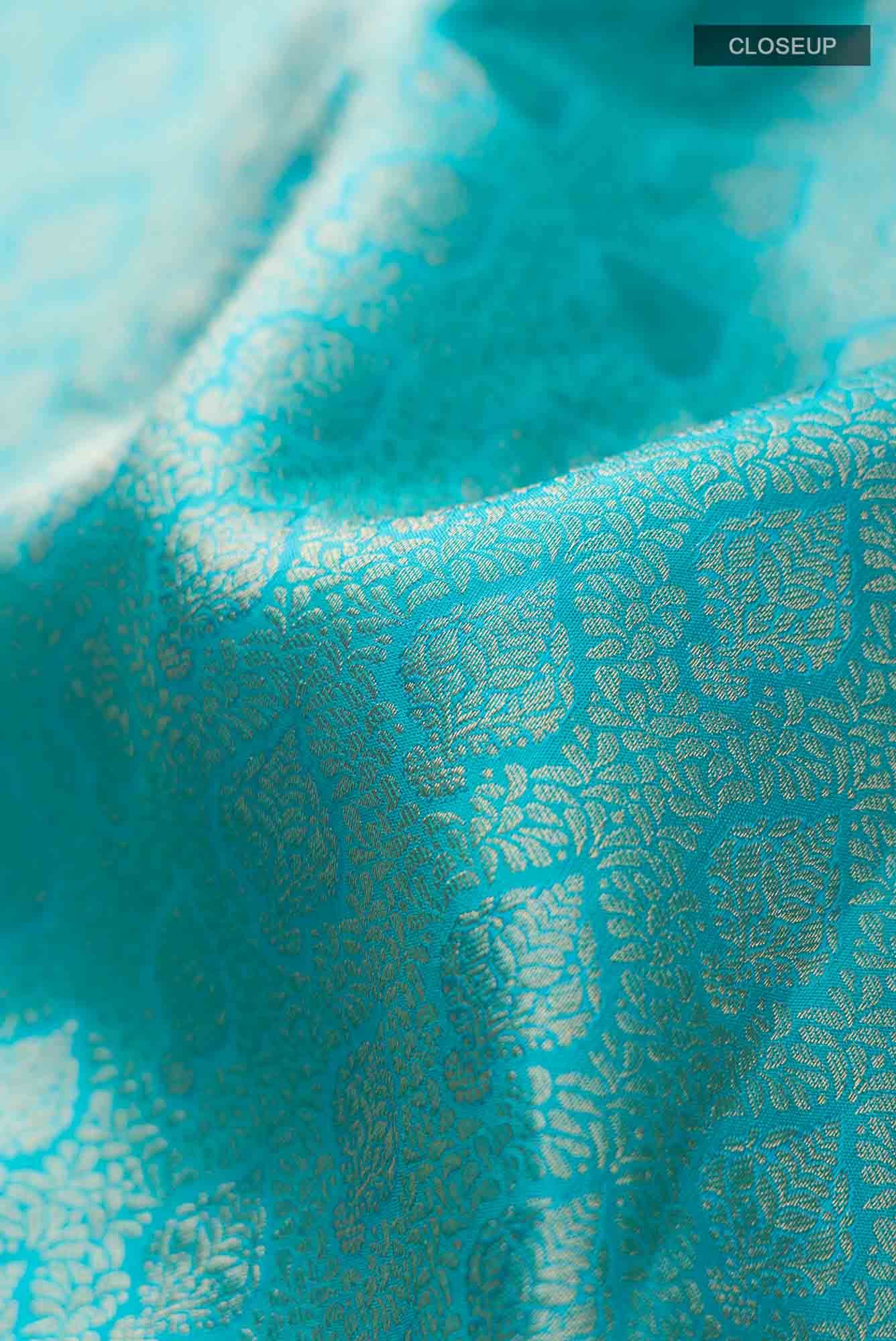 Blue Kanchipuram Silk Saree