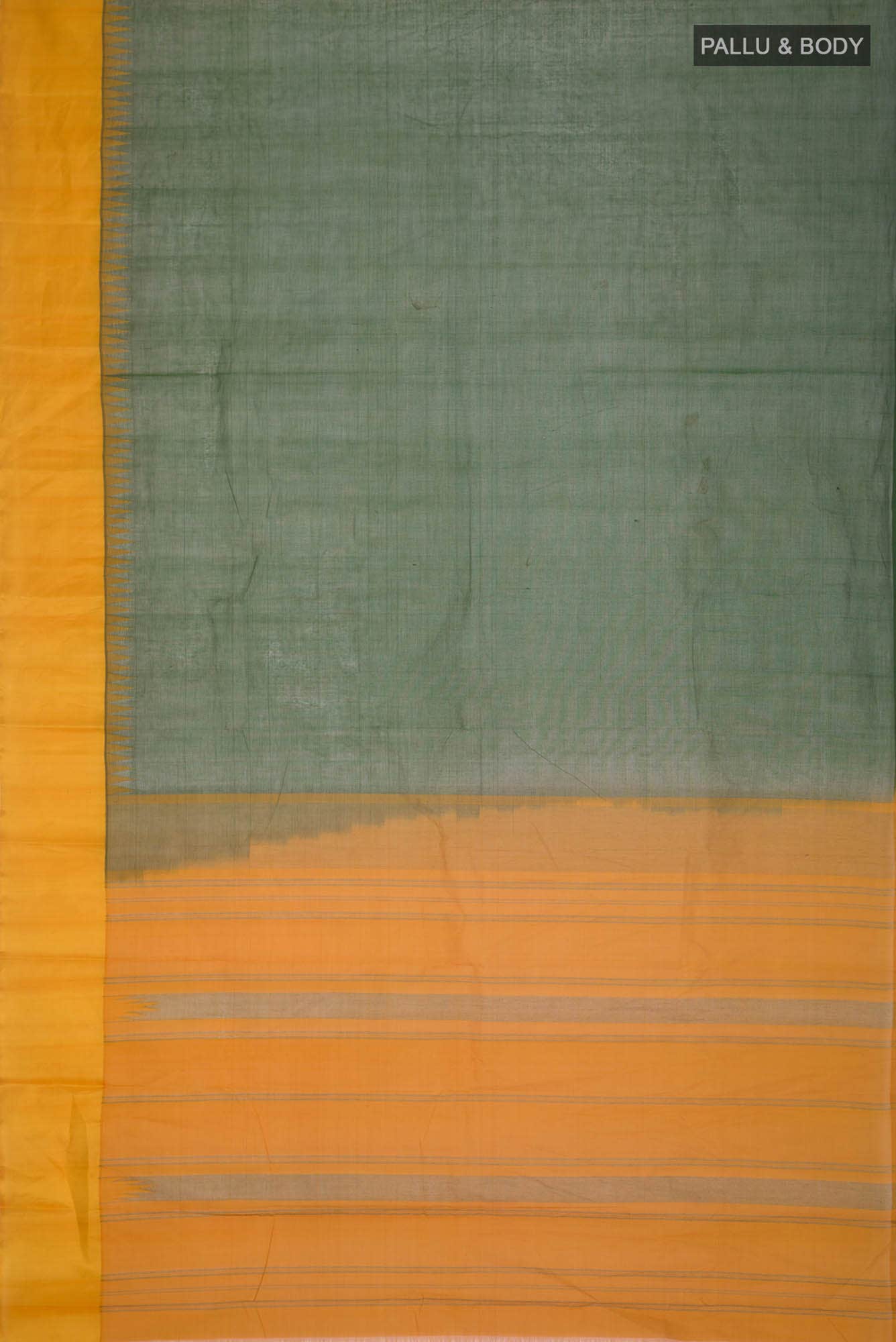 Green Kanchi Cotton Saree