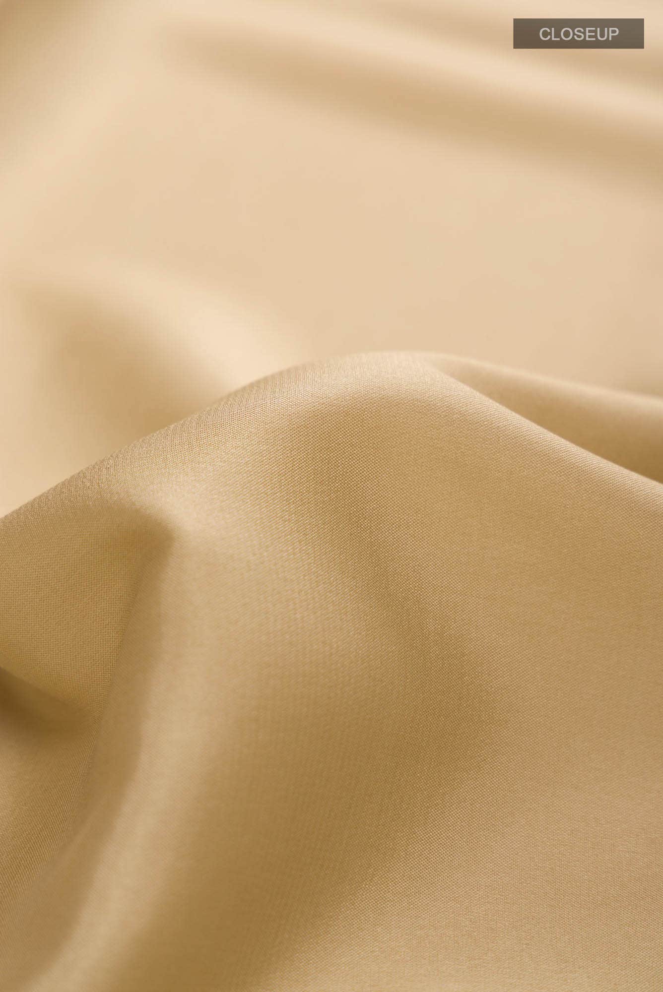 Beige Mysore Crepe Saree