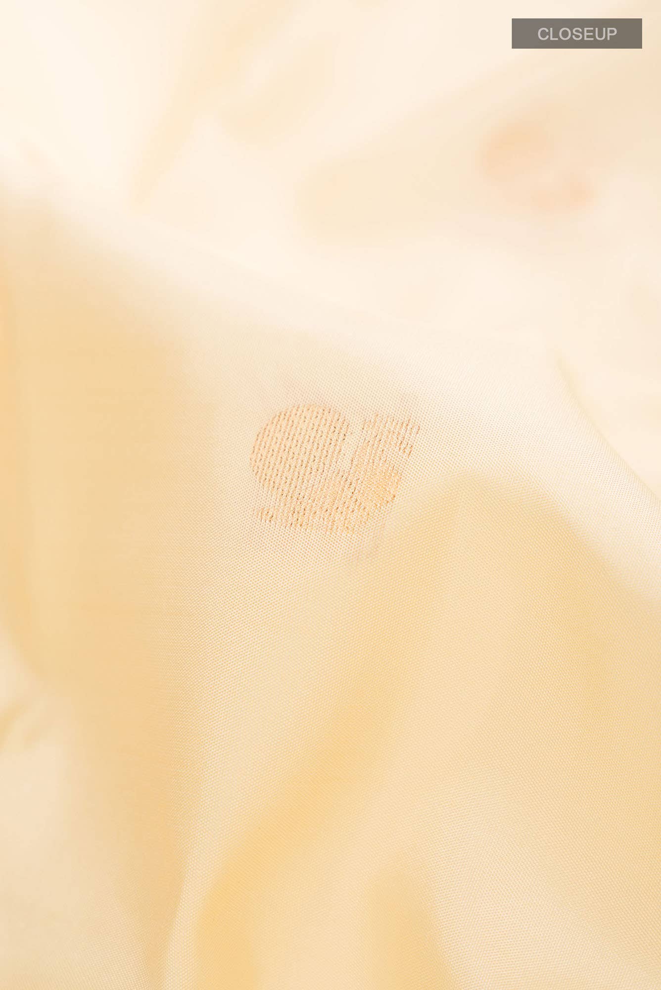Cream Kanchipuram Silk Saree